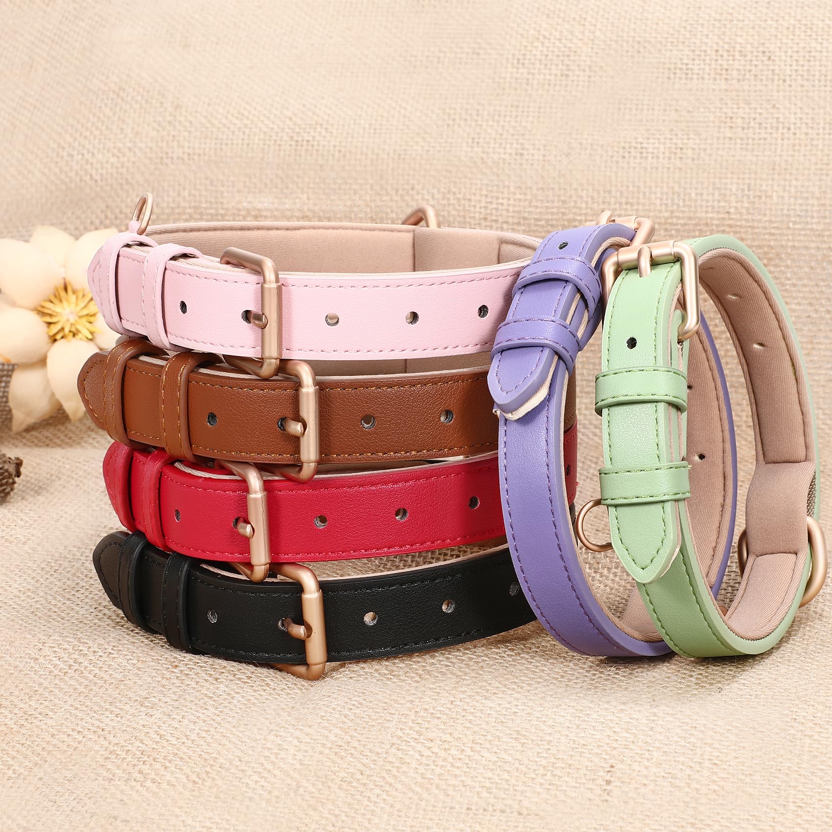 Whippy Leather Dog Collar For Small Dog Adjustable Soft Breathable Leather Padded Puppy Collar With Alloy Buckle Heavy Duty Wate