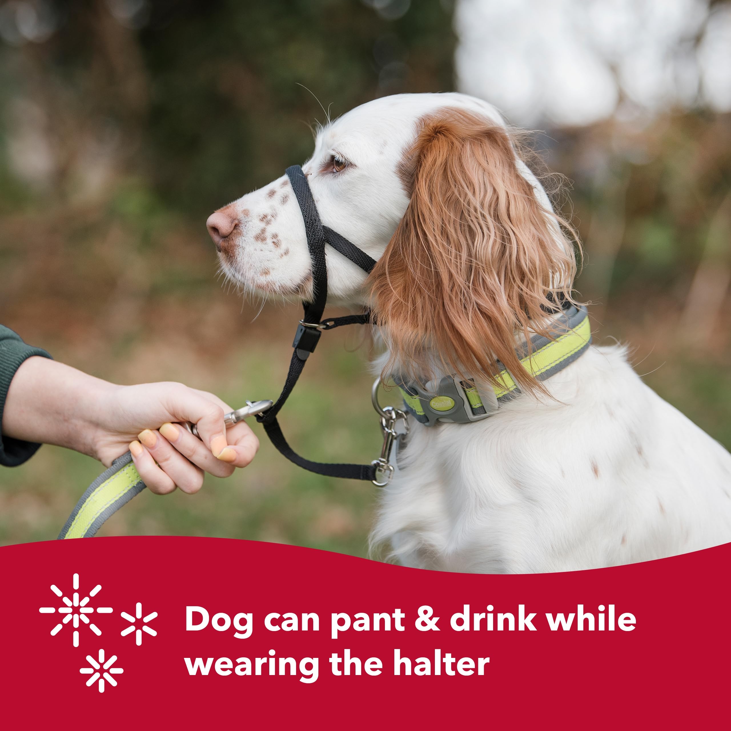 Coastal Pet Walk 'N Train Dog Head Halter - Head Colllar Dog Leader - No-Pull Dog Harness - Quick-Drying Polyester - Black - Xlarge