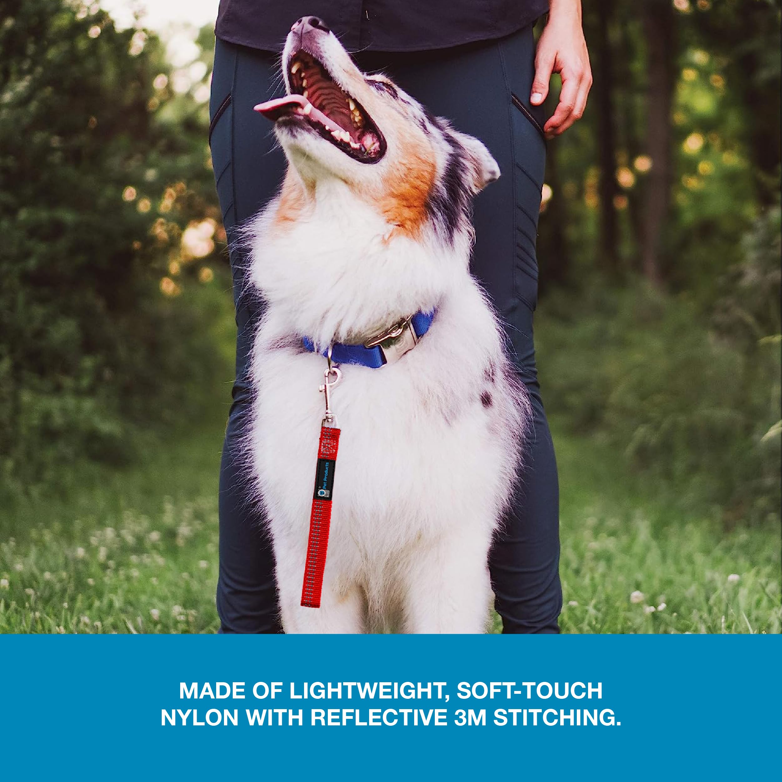 Blue-9 Reflective Dog Training Leash, 9 Inch Tab Lead With 3M Reflective Stitching For Obedience, Recall, And Agility Training,