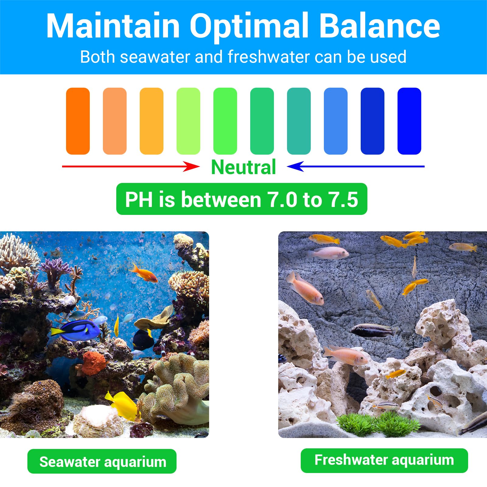 Segarty Filter Media,12 In 1 Bio Media For Aquarium Sump Filter Ceramic Rings Activated Carbon Bio Balls Freshwater Marine Biolo