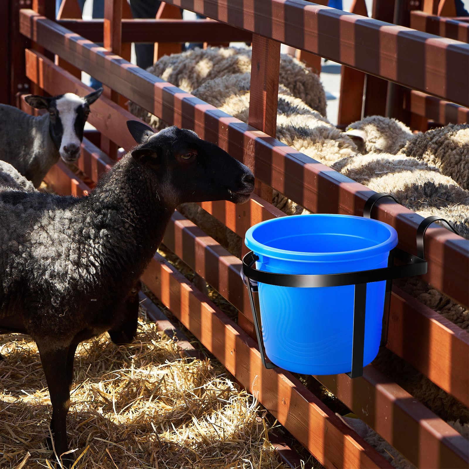 Teenyyou 2 Pcs Heavy Duty Bucket Holder with Hook Metal Bucket Hangers for 5 Gallon Horse Water and Feed Wall Mount Livestock Pa