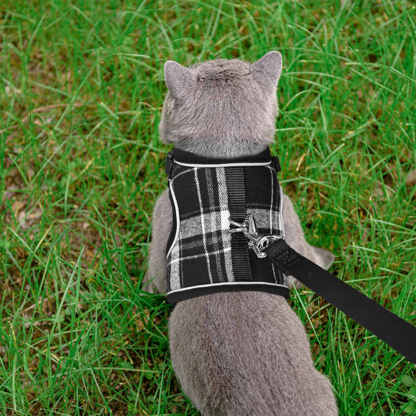 Pupteck Soft Mesh Cat Vest Harness And Leash Set Puppy Padded Pet Harnesses Escape Proof For Cats Small Dogs Rabbits Bunny, Plai
