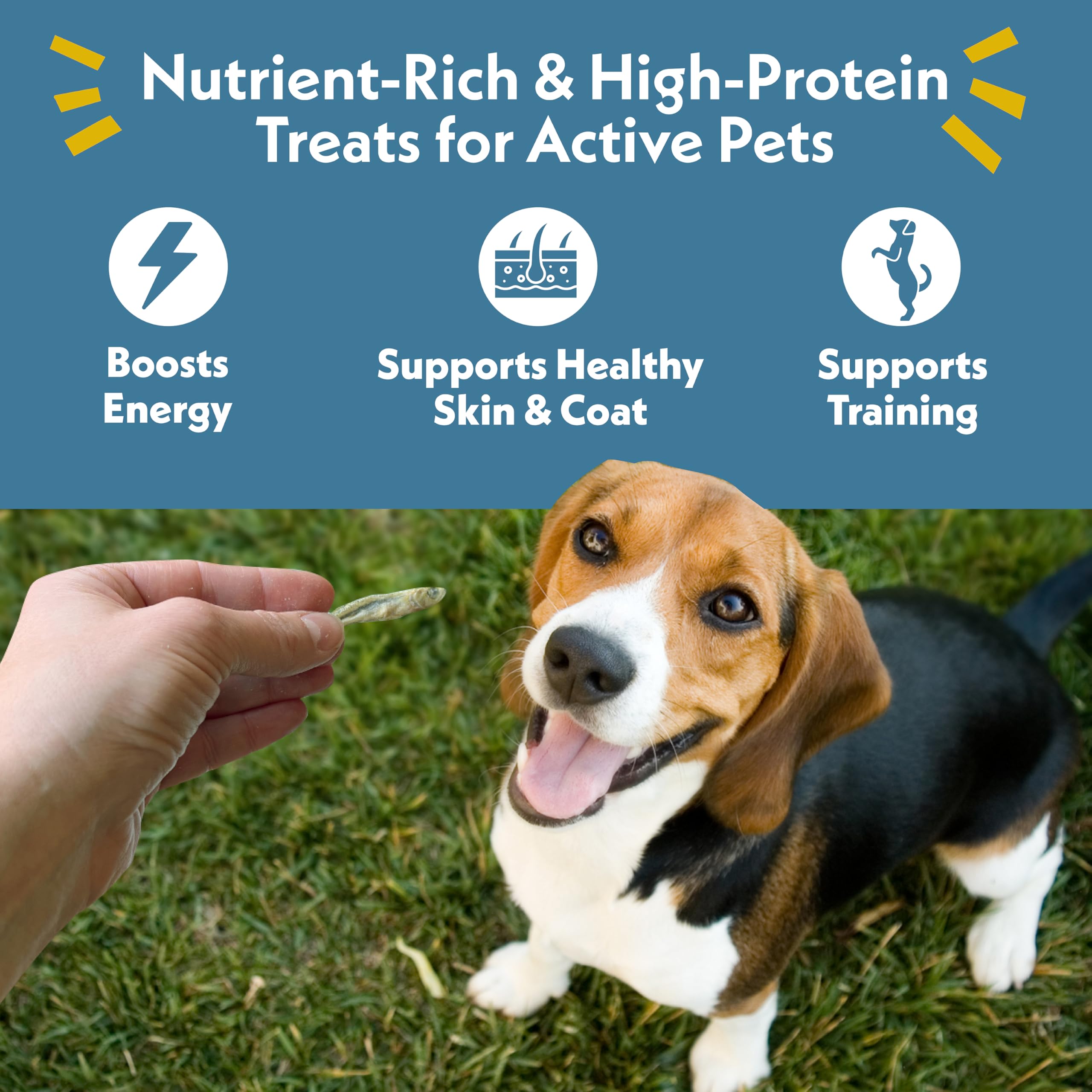 Fresh Is Best - Freeze Dried Healthy Raw Meat Treats for Dogs & Cats - Silverside Minnows