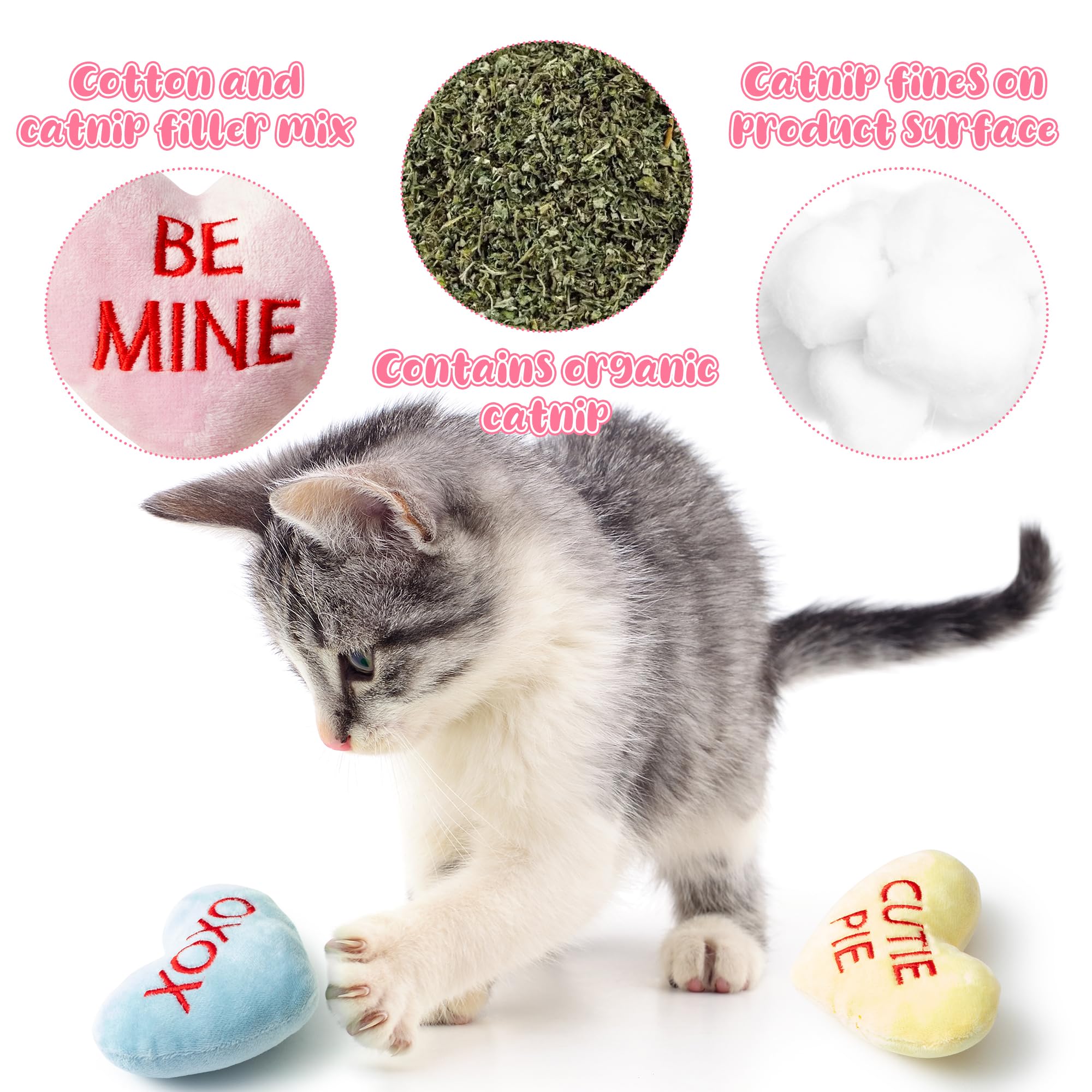 Mallmall6 5Pcs Valentines Day Conversation Heart Catnip Toys Gift For Cat, Indoor Kitten Chew Bite Kick Candy Catmint Pet Suppli