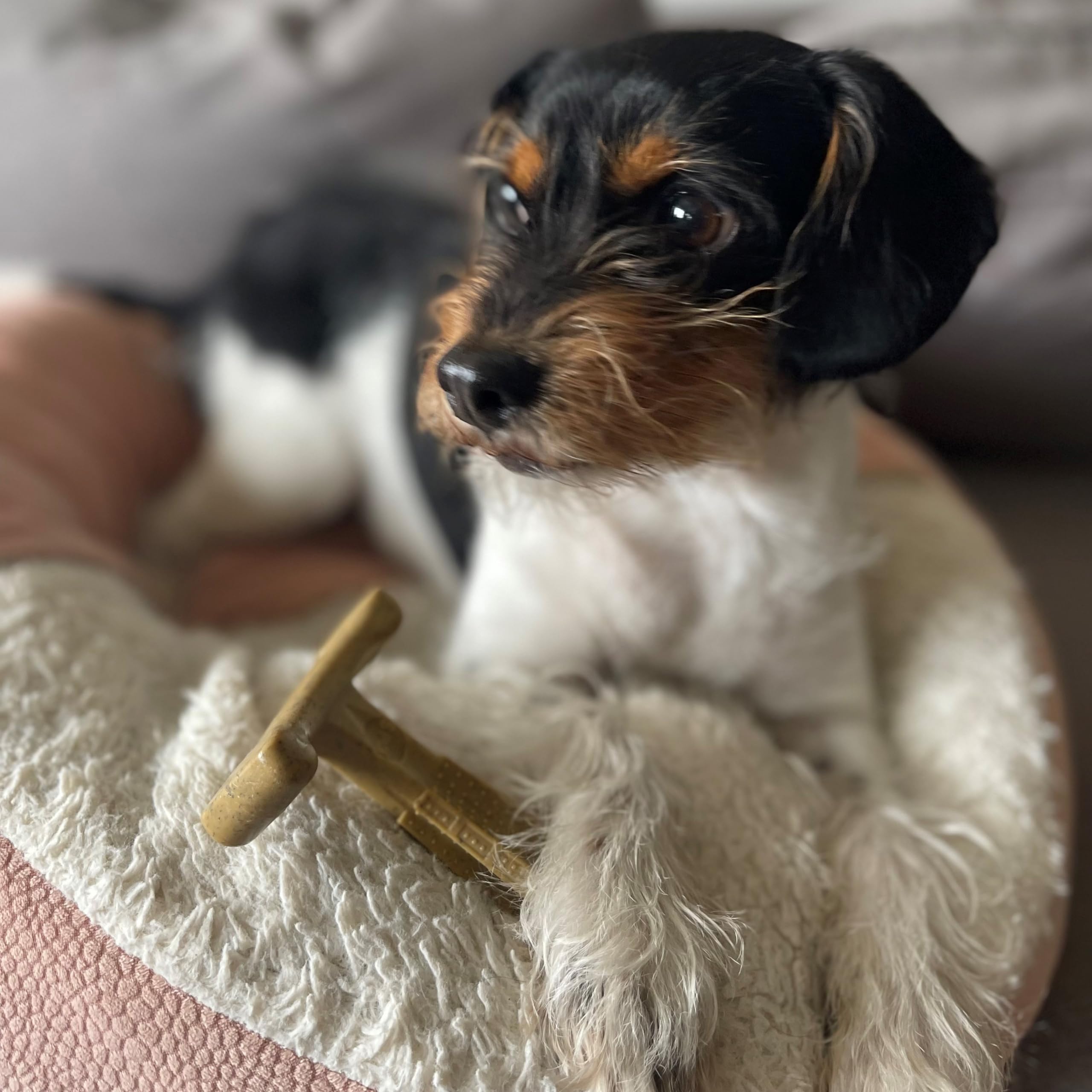 Spot By Ethical Products - Bambone Plus - Easy Grip Durable Dog Chew Toy For Aggressive Chewers - Great Dog Chew Toy For Puppies