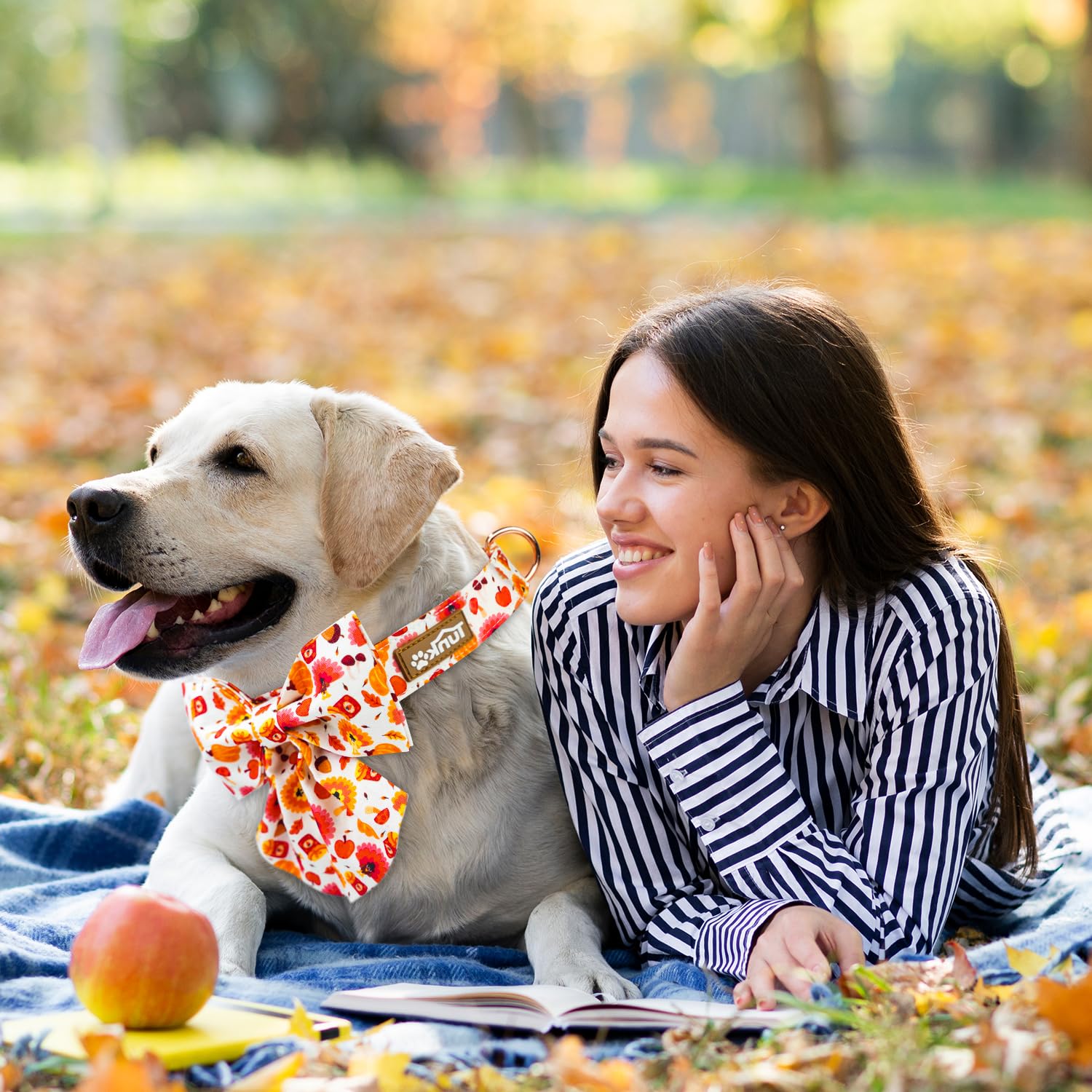 Tunkoo Dog Collar With Pretty Bow Tie Pumpkin And Turkey Pattern - Durable, Adjustable And Stylish Thanksgiving Pet Collar, Avai