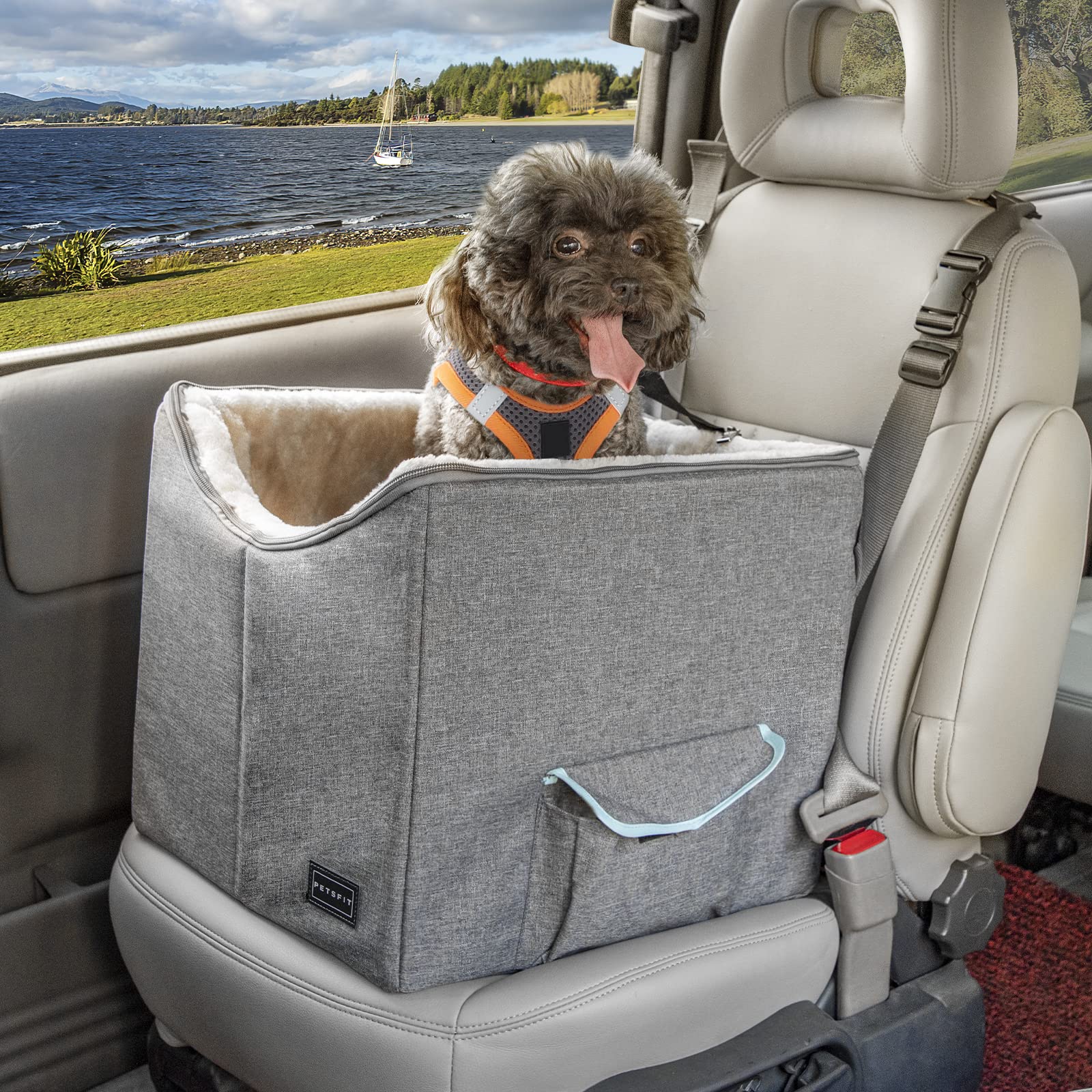 Petsfit Small Dog Car Seat, Pet Travel Car Booster Seat With Safety Belt, Washable Double-Sided Cushion And Storage Pocket For Small Pet (Small, Light Grey)