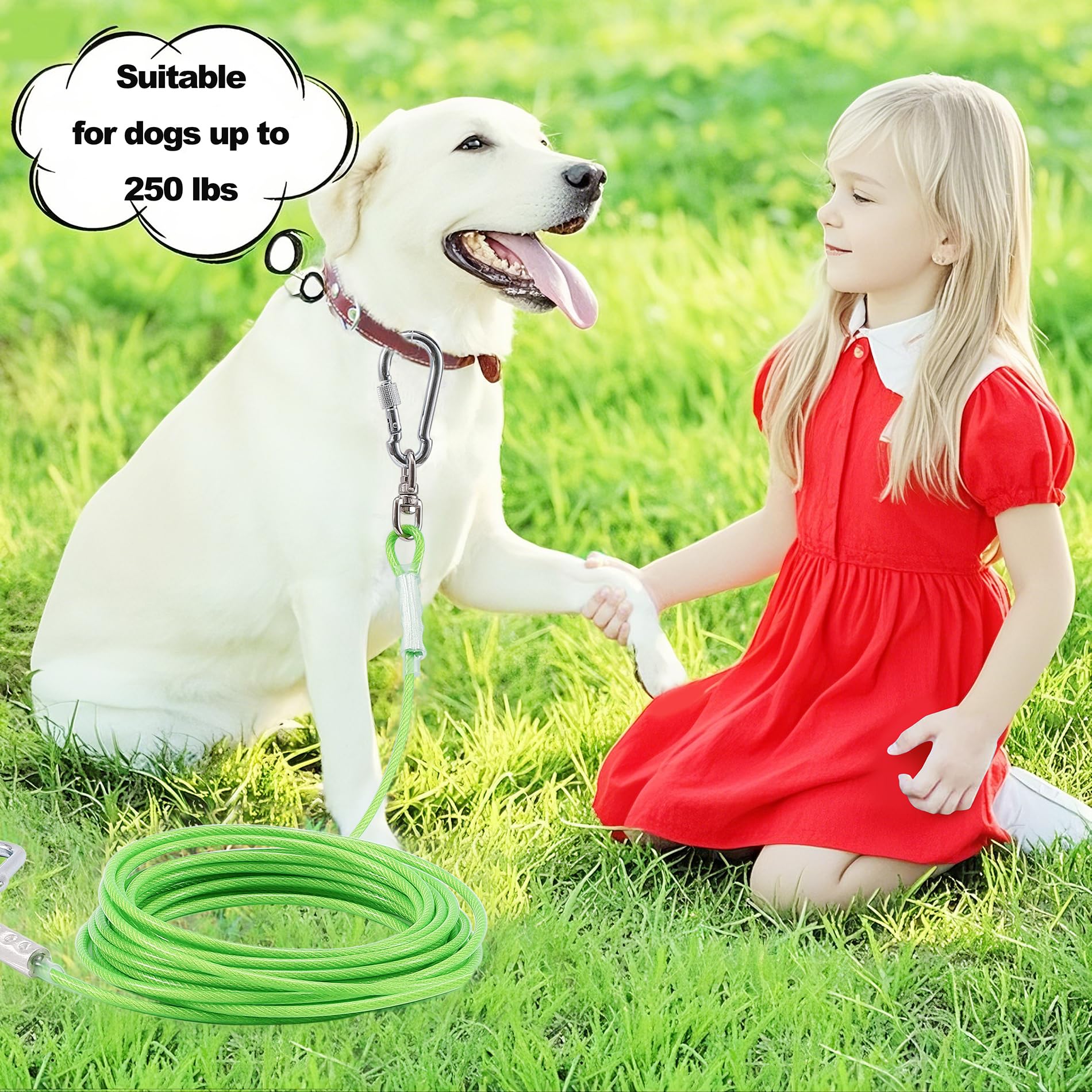 Dog Tie Out Cable For Outside,20Ft Heavy Duty Dog Leash&Chains With Swivel Hook,Small-Large Dogs Runner Cable Up To 250Lbs, Long