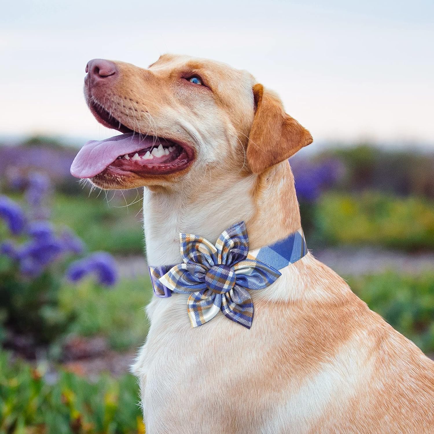 Plaid Boy Dog Collar Floral Male Dog Collars With Flower Bowtie Dog Collar For Cute Boy Male Cats Dogs Spring Summer Dog Collars