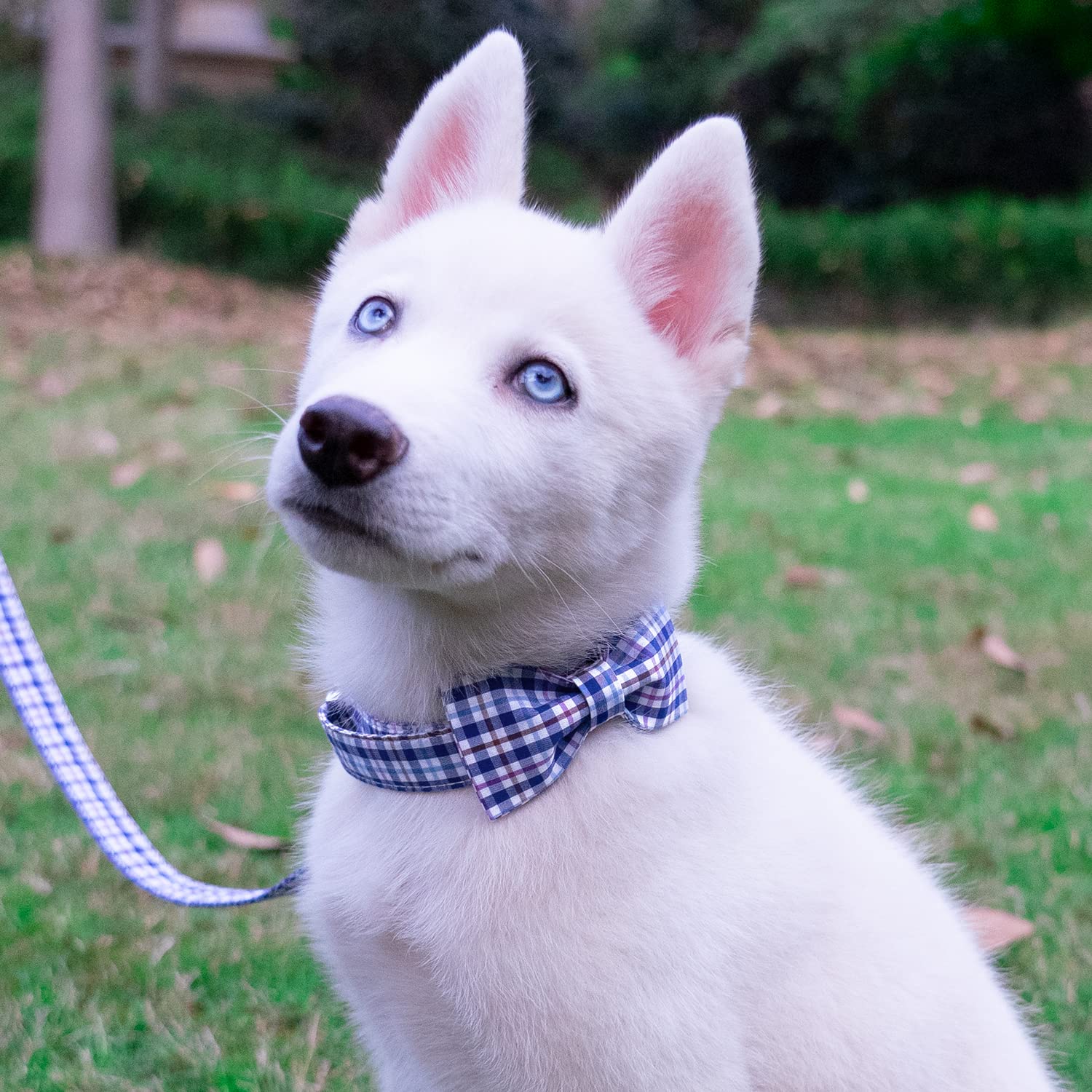 Tunkoo Dog Leash Plaid With Soft Comfy Cotton Handle