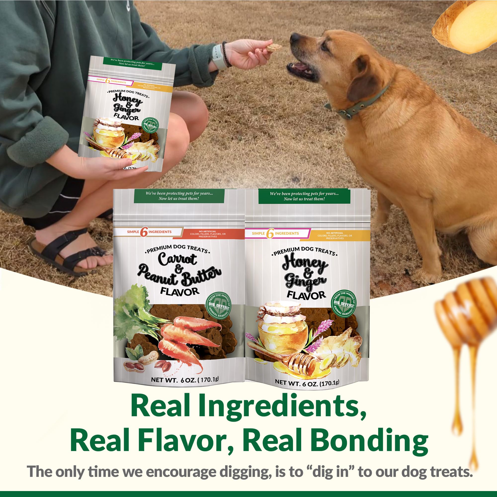 Dig Defence Premium Dog Treats - Honey/Ginger and Carrot/Peanut Butter, Natural Ingredients, Baked Gourmet Snacks for Small & Bi