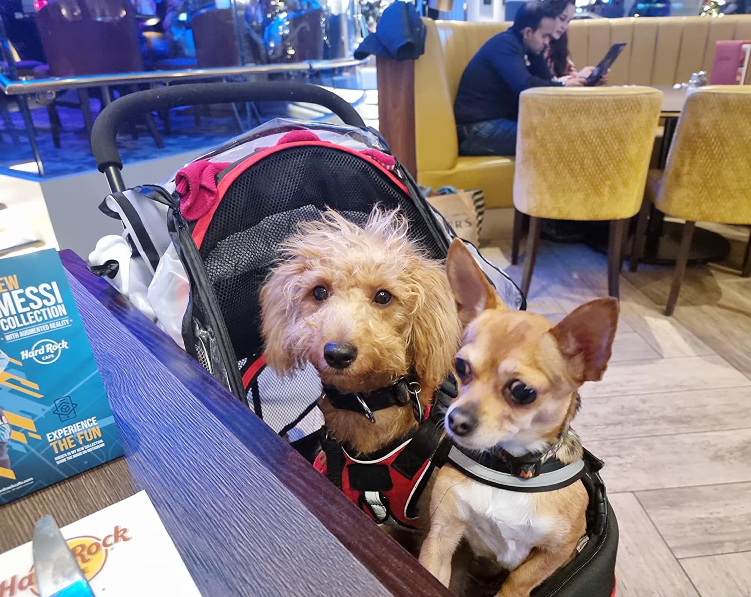 Roodo Escort 3 Wheel Dog Cat Pet Stroller For Small/Medium Dogs Cats Best Lightweight Foldable Portable Compact Jogger Travel Al