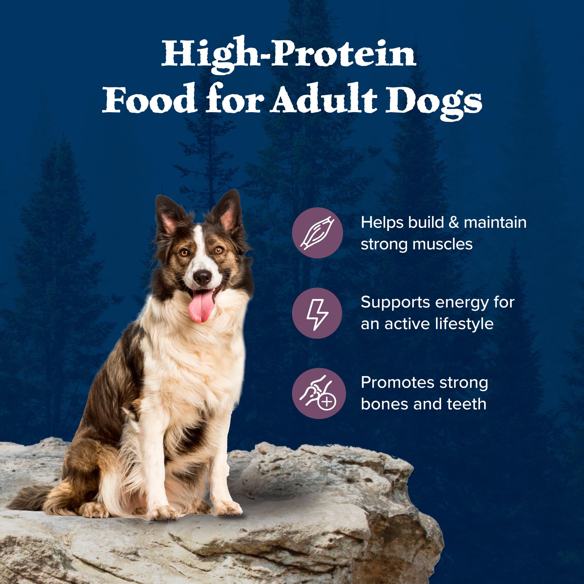 Blue Buffalo Wilderness High-Protein Adult Dry Dog Food, Bison, 28-lb Bag, Natural Ingredients, Made in the USA