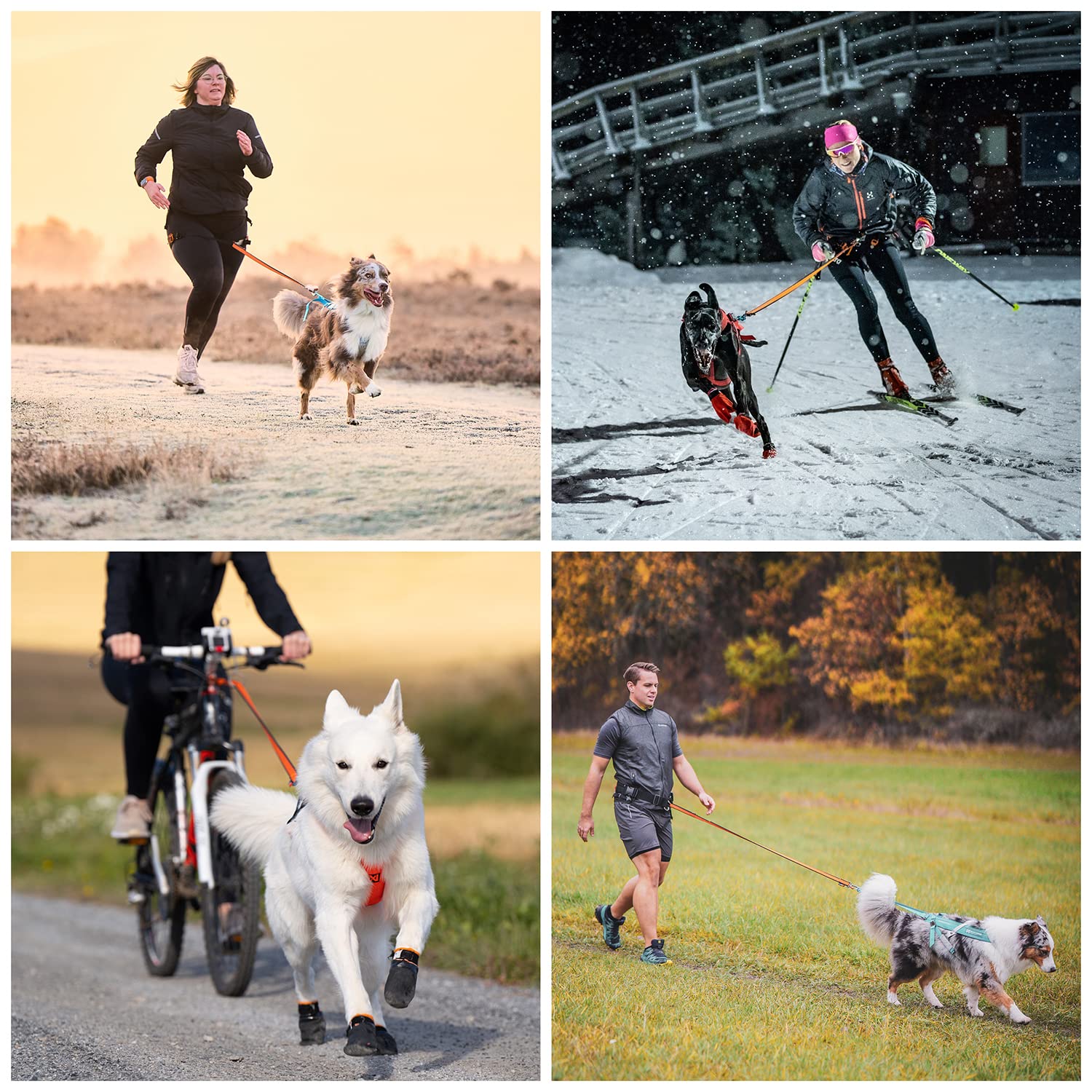 Non-Stop Dogwear Bungee Leash Elastic Dog Leash For Sports Like Running, Biking And Skiing With Dogs, Black/Orange, Size 2.0 M / 23 Mm