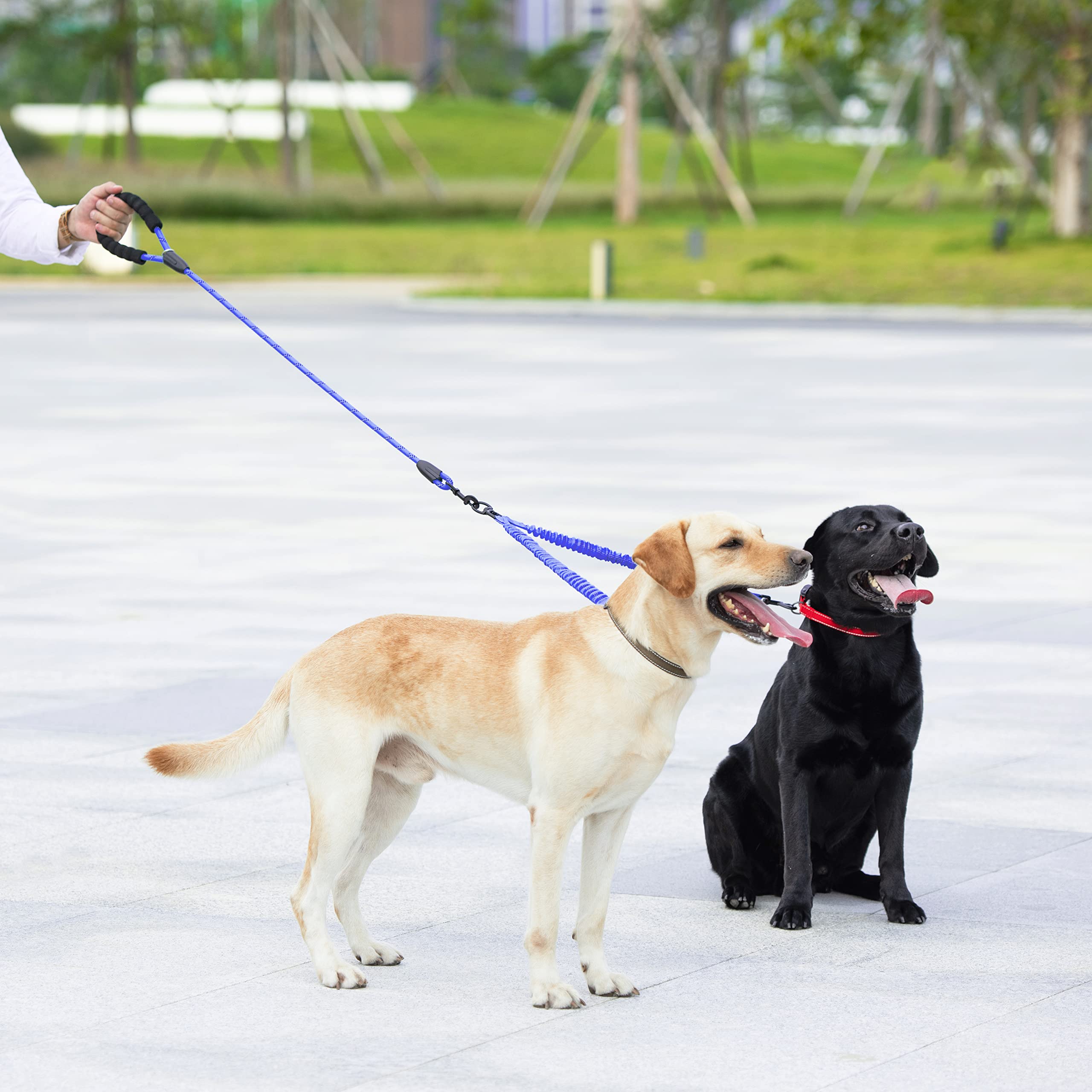 Iyoshop Dual Dog Leash, Double Dog Leash, 360 Swivel No Tangle Walking Leash, Shock Absorbing Bungee For Two Dogs, Royal Blue, Large (25-150 Lbs)