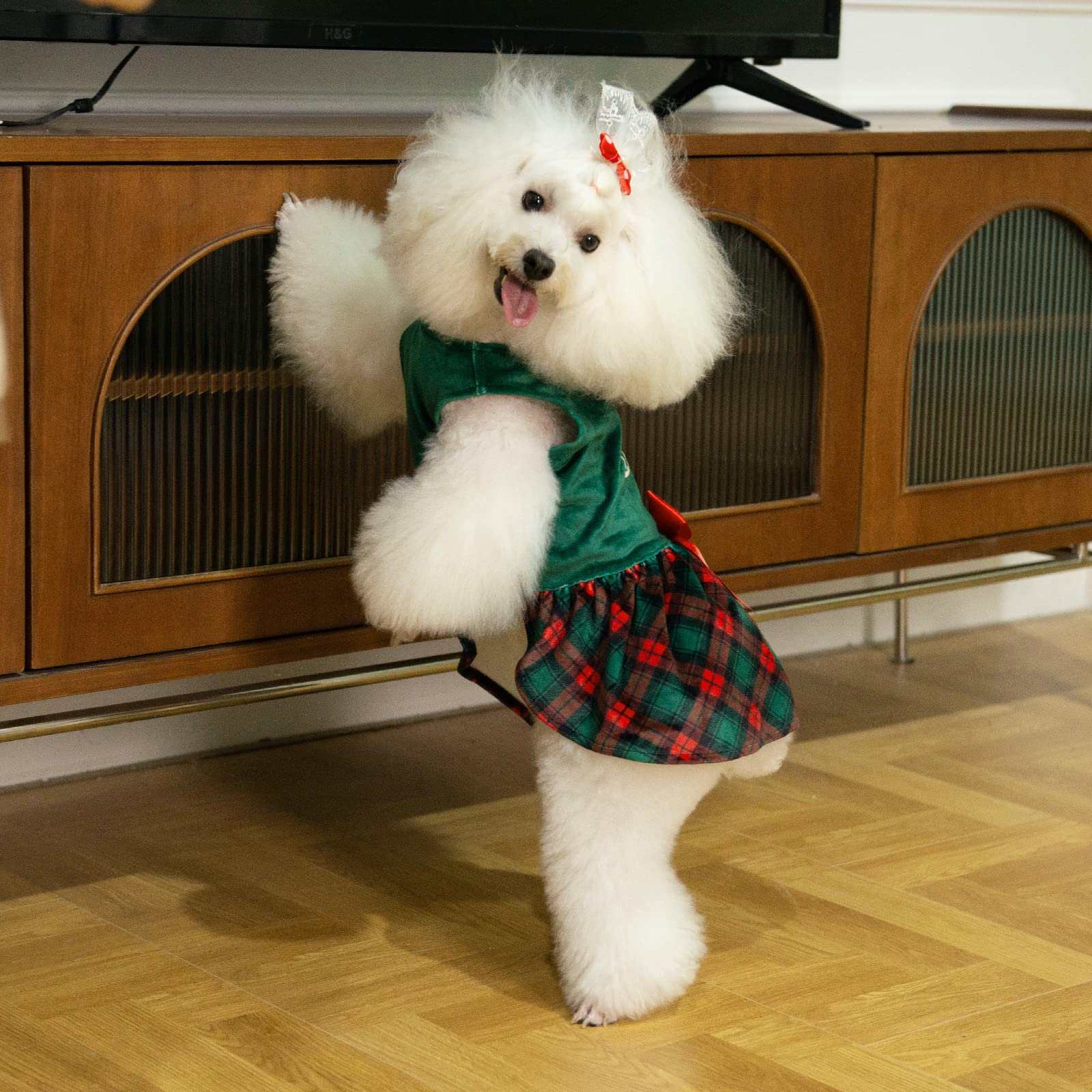 Cutebone Christmas Tree Dog Dress Velvet For Small Dogs Girl Puppy Dresses Green Plaid Dog Clothes Cva05L-D