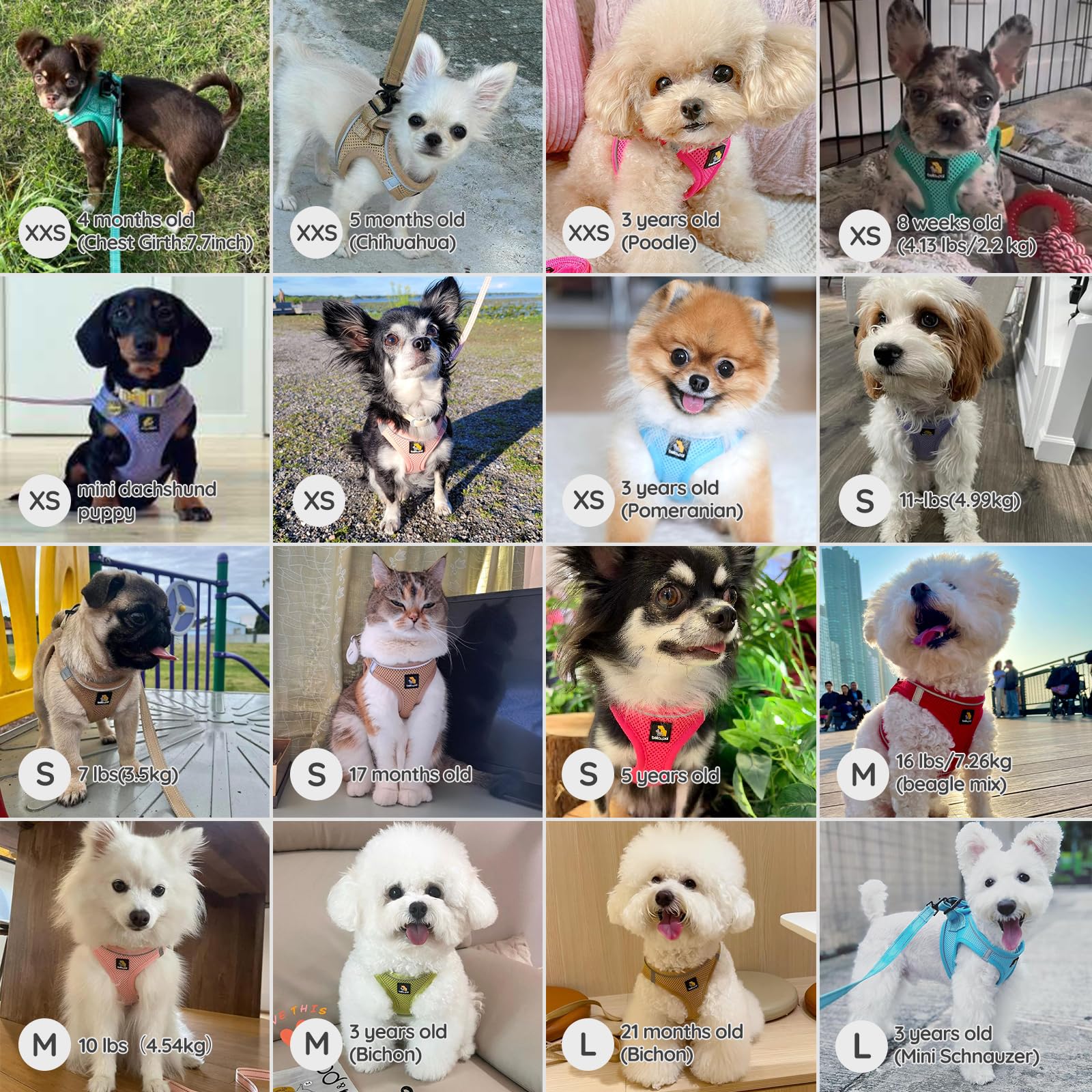 Bella & Pal Puppy Harness & Leash Set, No Pull Dog Harness For Extra Small Dogs, Red Xs