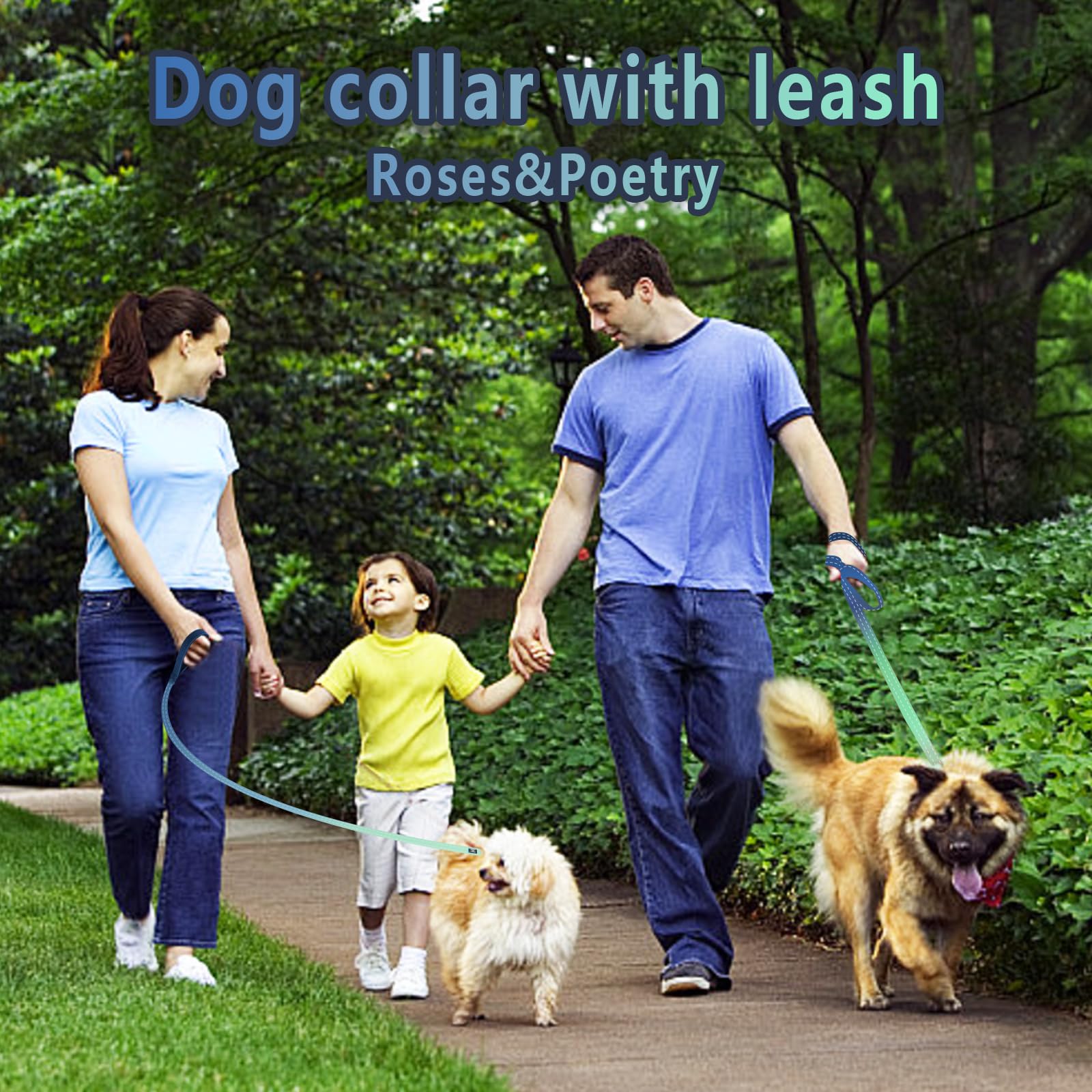 Roses&Poetry Bluegreen Small Dog Collar And Leash Set, Puppy Reflective Leashes With Collars, Adjustable Durable Matching Collar