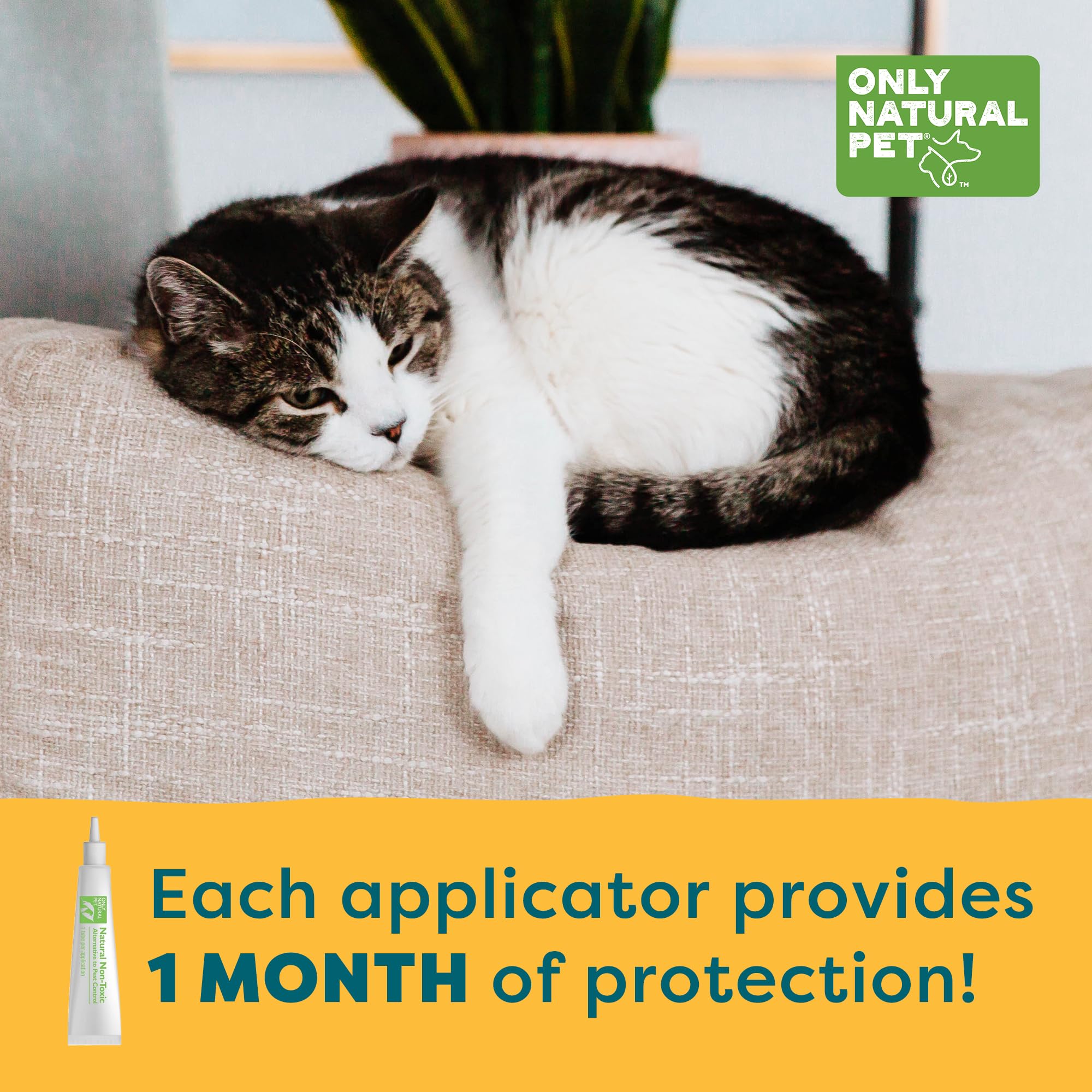 Only Natural Pet Flea and Tick Prevention for Cats - EasyDefense Squeeze-On Drops, 3-Month Supply, Model mp-999521