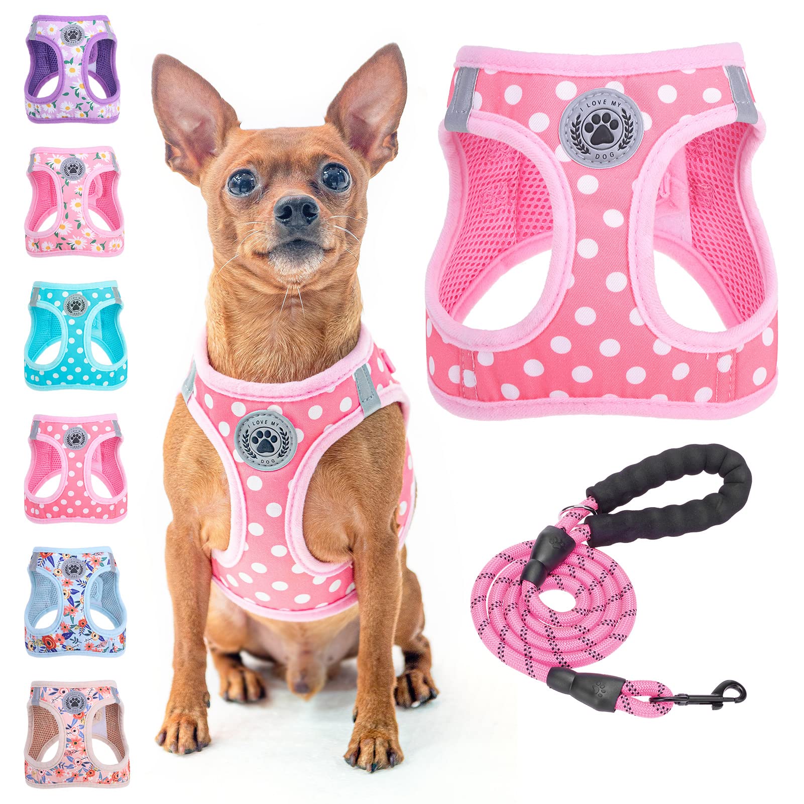 Beautyzoo Step In Dog Harness And Leash Set, Polka Dot Pattern Reflective Dog Harness No Pull No Choke Puppy Harness For Xxs Xs S Dogs Cats, Soft Padded Mesh Vest Harnesses For Girl And Boy Pets