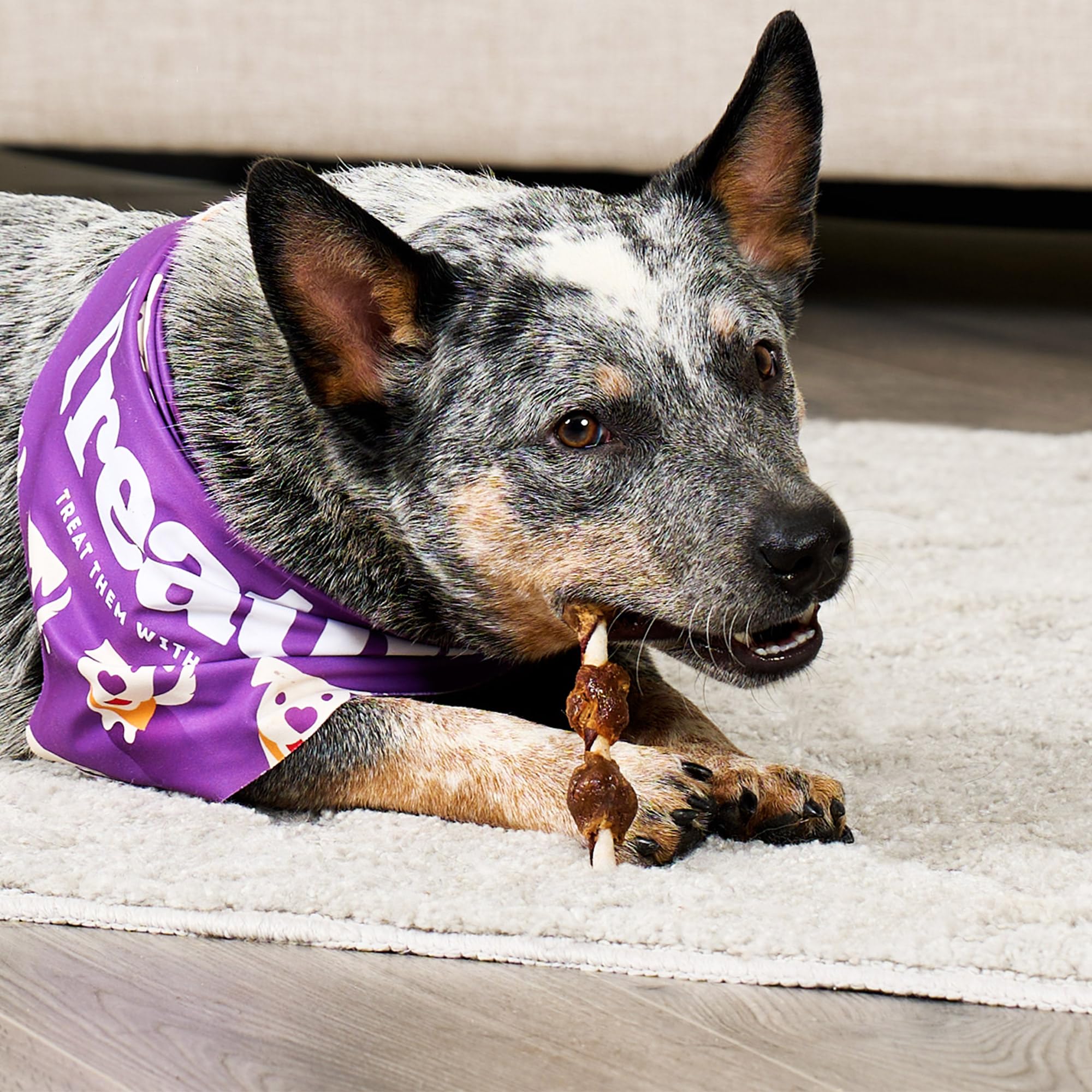 Treatly Combo Chews Rawhide/Pork Flavor Rawhide Kabob 5 w/Duck/Chicken Meat Wrap Dog Chew Treats - 18 Count/1 Pack