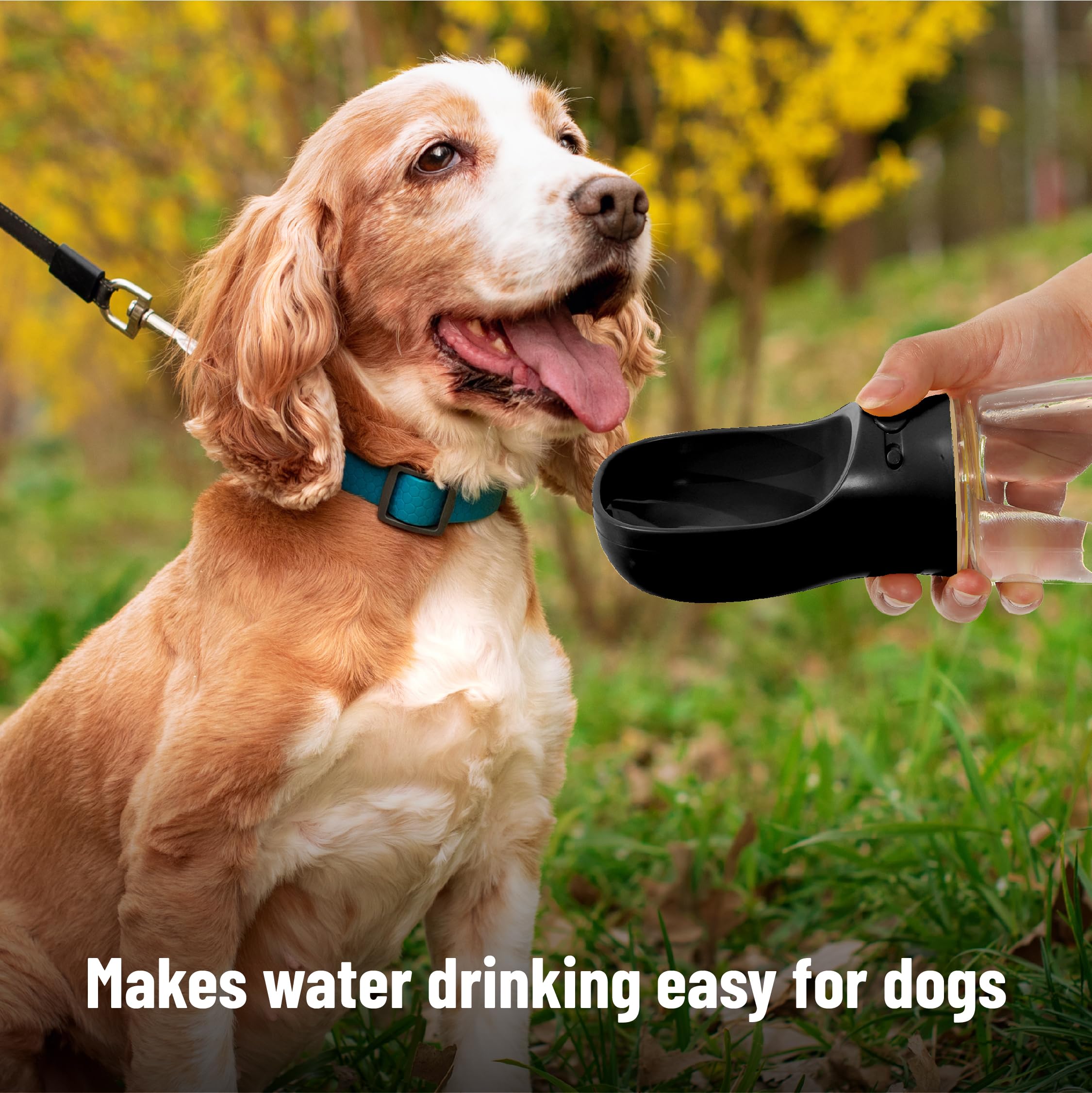 Mr. Pen- Dog Water Bottle, 19 oz, Large, Black, Portable Dog Water Bottle Dispenser, Dog Travel Water Bottle, Travel Dog Water B