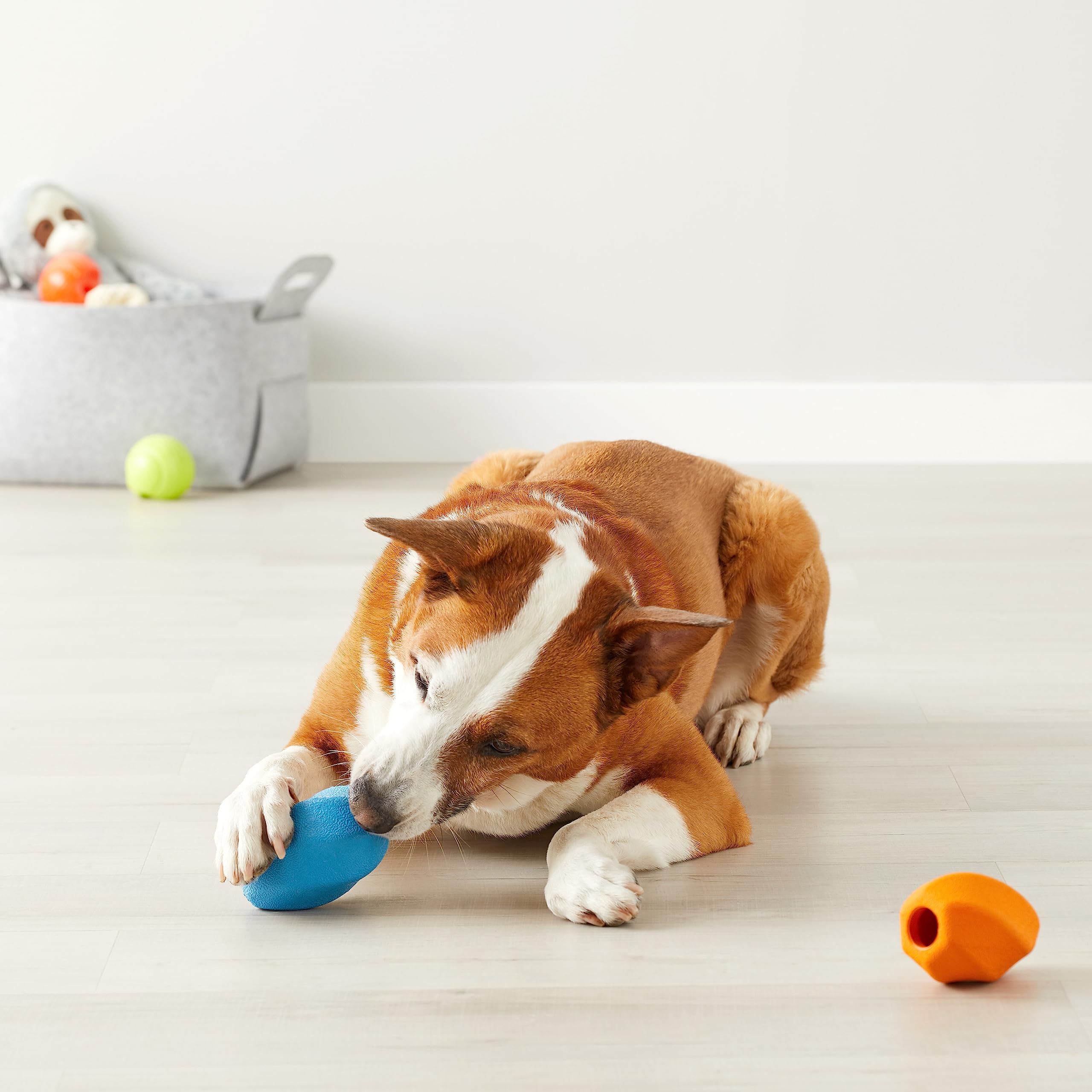 Amazon Basics Dog Treat Dispensing Chew Toy, Medium, 2-Pack, Multi Color