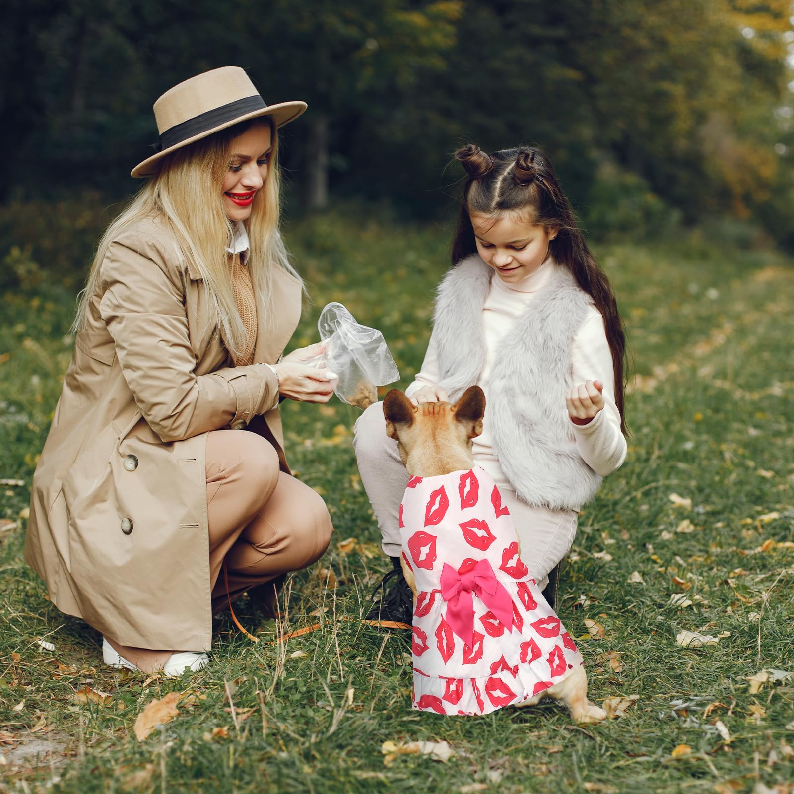 Dog Dress S, Cute White Pet Dress With Red Lip And Pink Bow, Stylish Pet Outfit For 6-7 Lbs Dogs And Cats, Romantic Holiday Clot