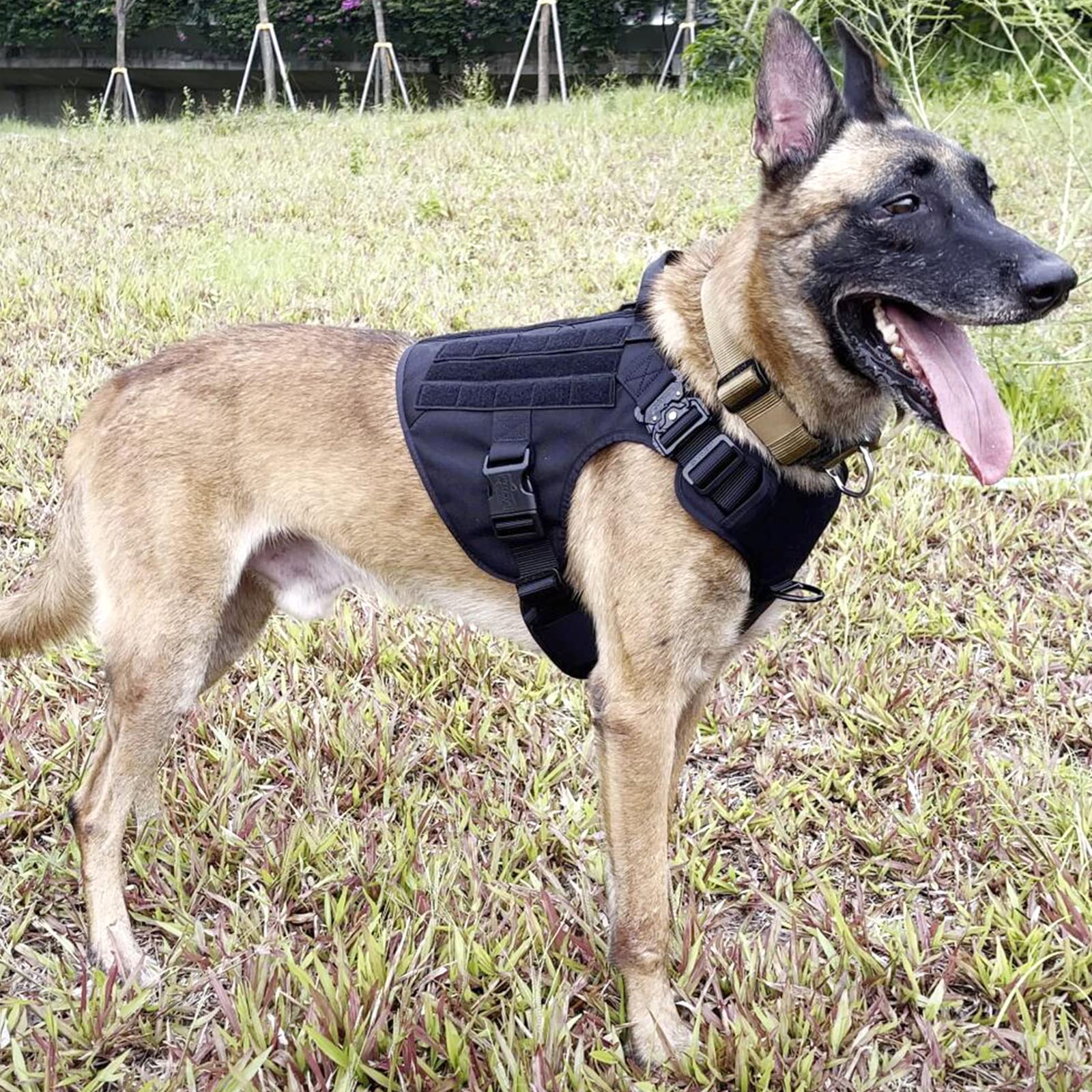 ICEFANG Tactical Dog Harness, X-Large, Black, 2X Metal Buckle, MOLLE Vest, No Pulling Front Clip, Handle