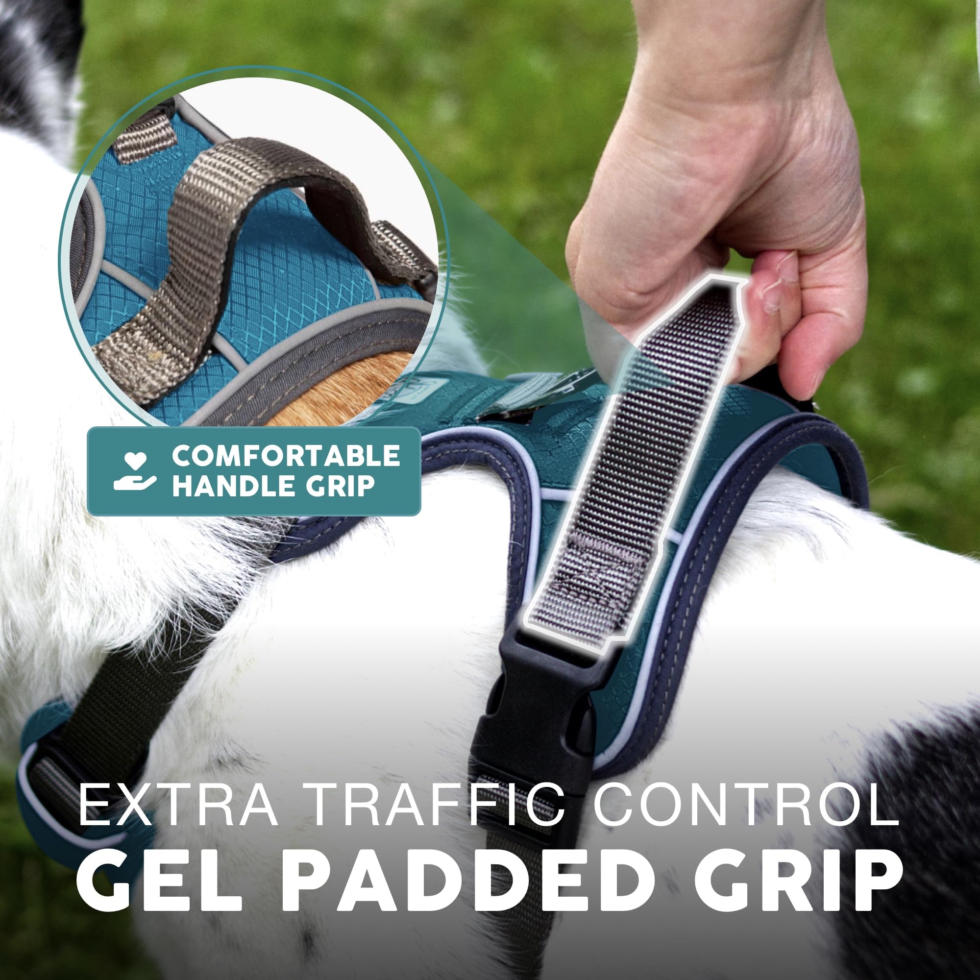 Embark Adventure Dog Harness No-Pull Dog Harness For Small Dogs, Medium & Large. 2 Leash Clips, Front & Back With Control Handle, Adjustable Blue Dog Vest For Any Breed, Soft & Padded For Comfort