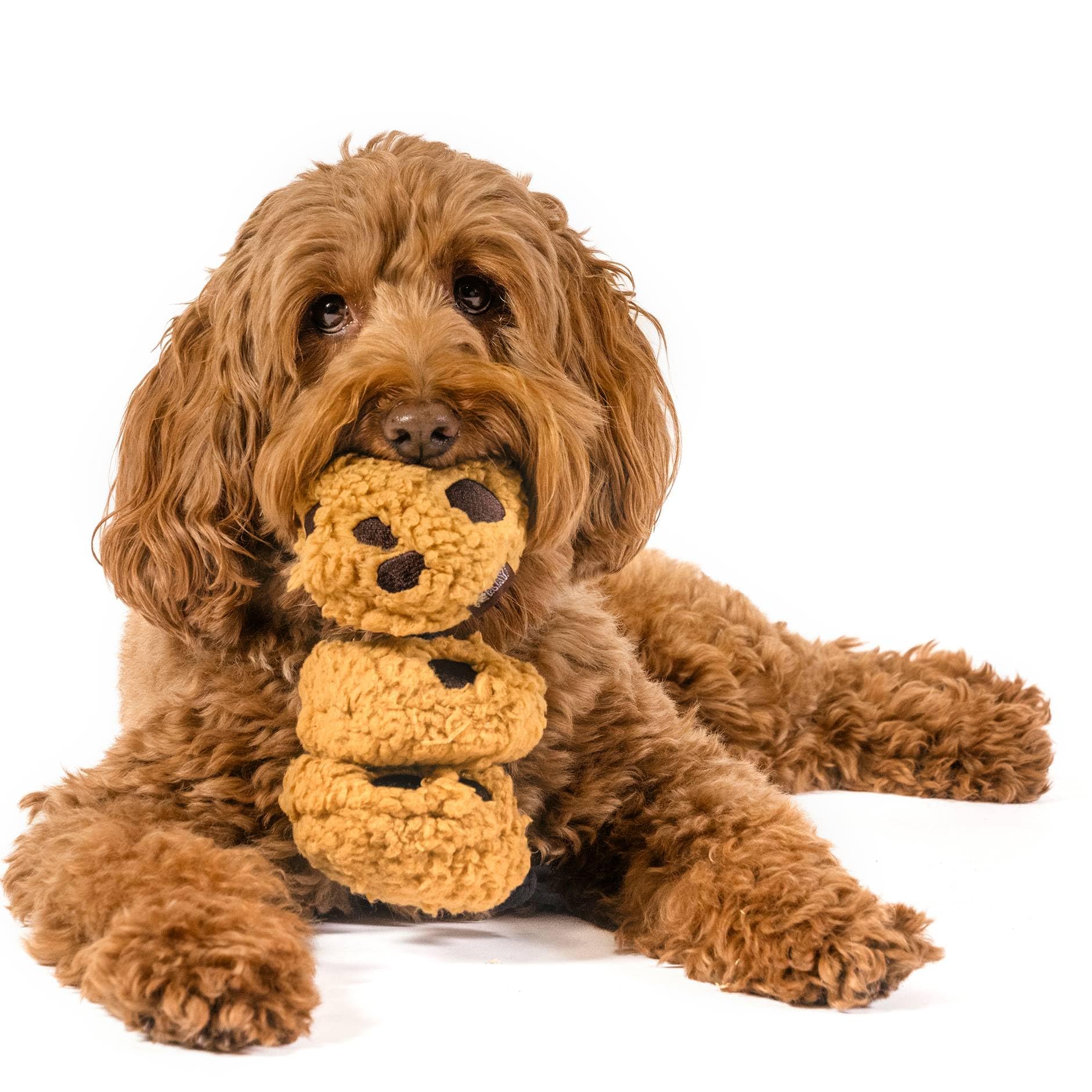 P.L.A.Y. Cute Plush Dog Toys - Coffee Shop Food Themed Durable Squeaker Chew Toy, Great for Puppies & Small, Medium, Large Dogs