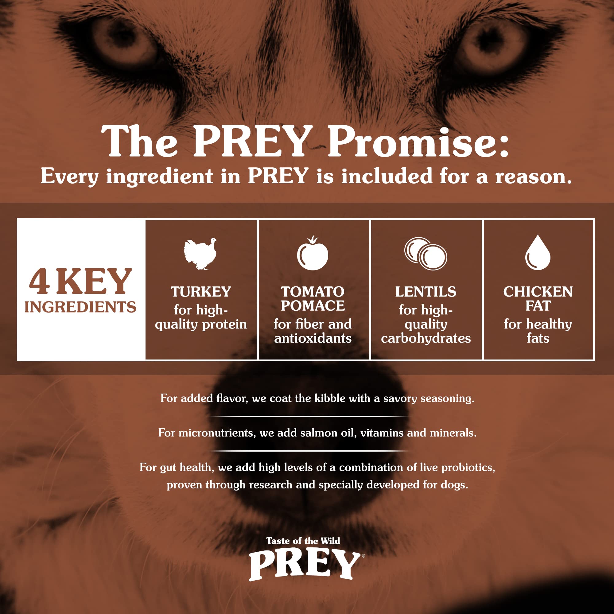 Taste of the Wild PREY Turkey Limited Ingredient Recipe Dry Dog Food 25 lb