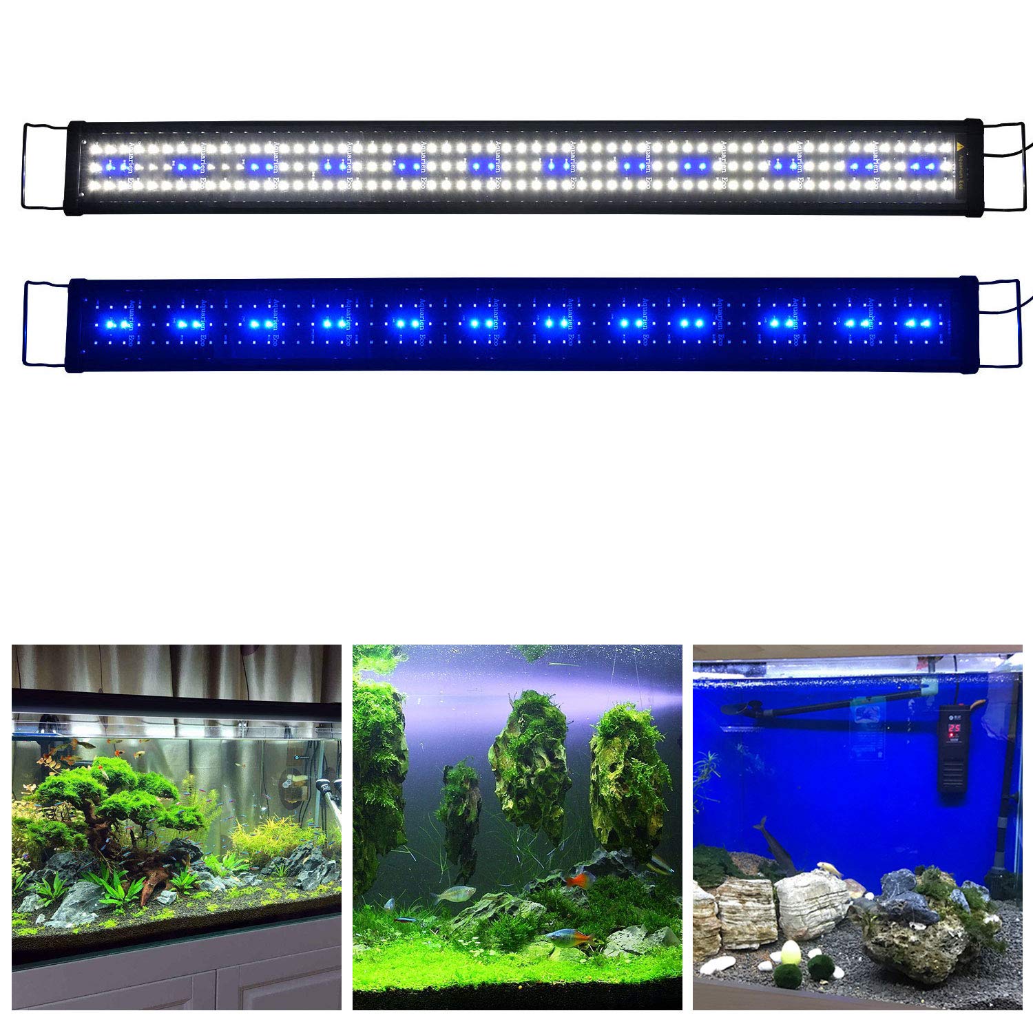KZKR Aquarium Hood Lighting Fish Tank Light 48-60 inch lamp for Freshwater Saltwater Marine Blue and White Decorations Light 120