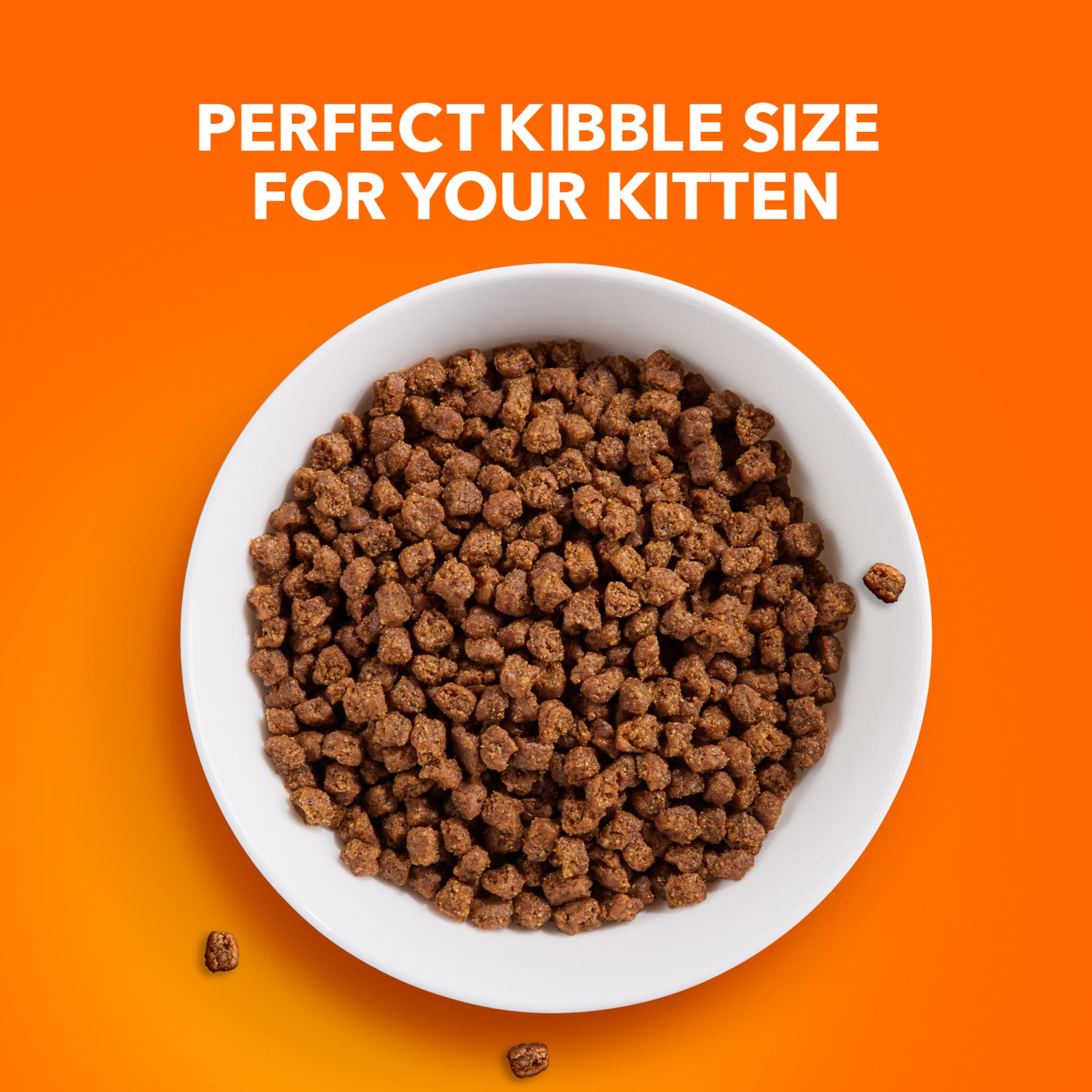 IAMs Proactive Health Dry Food for Cats - Kitten - Original - 3.18kg