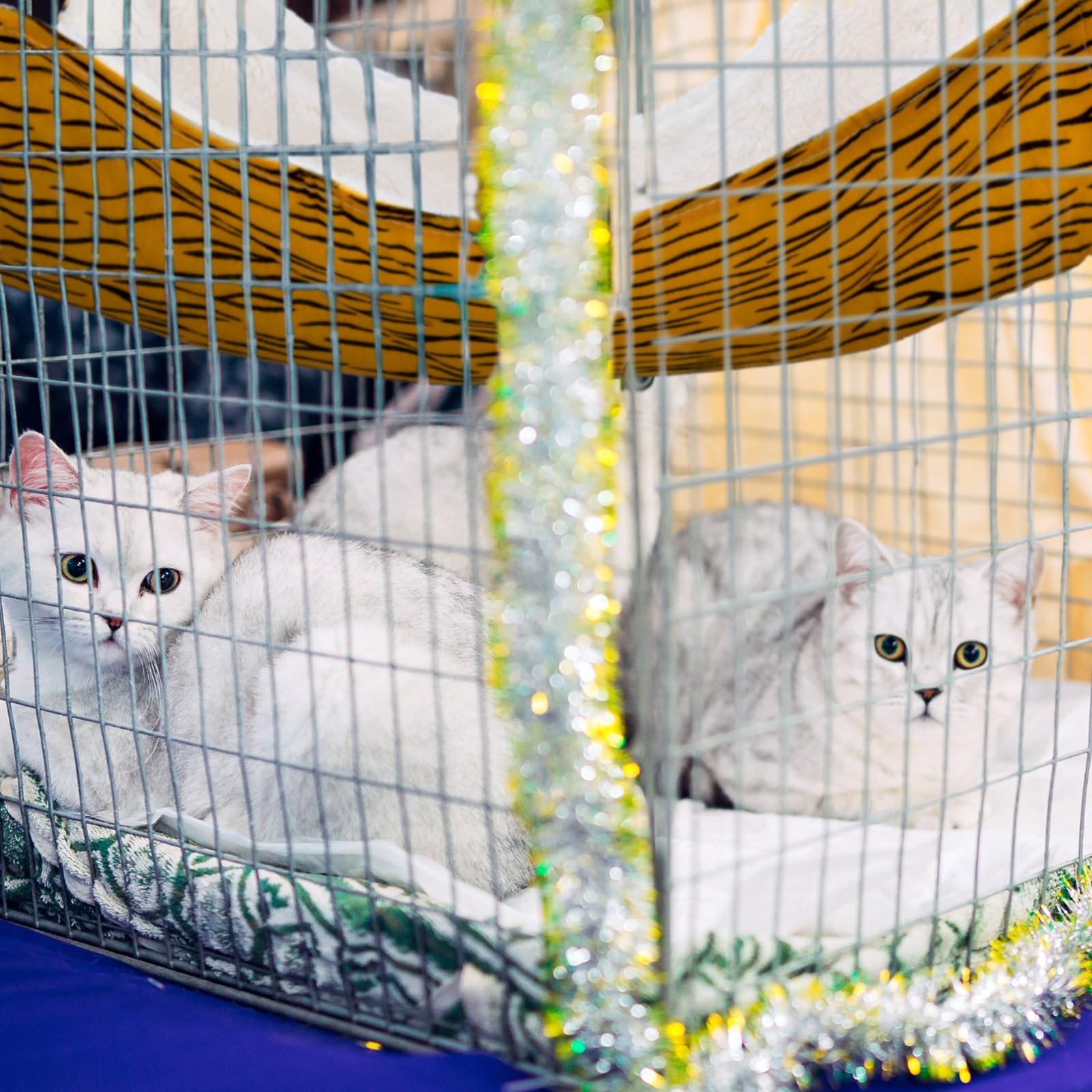 2 Pieces Reversible Cat Hanging Hammock Soft Breathable Pet Cage Hammock With Adjustable Straps And Metal Hooks Double-Sided Hanging Bed For Cats Small Dogs Rabbits (Zebra And Cat Paw Print, M)