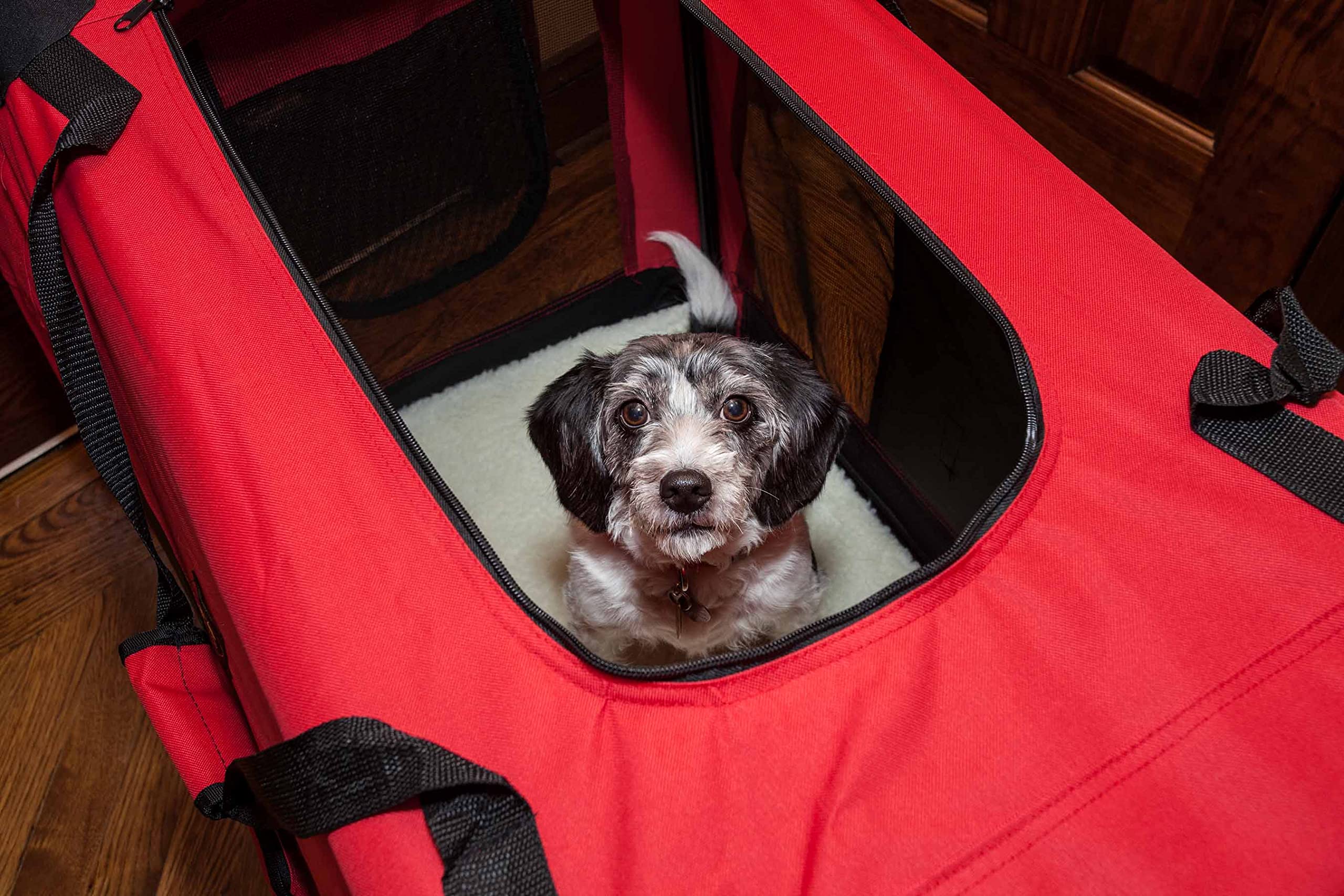 Folding Deluxe 360 Vista View House Pet Crate(D0102H7077W.)