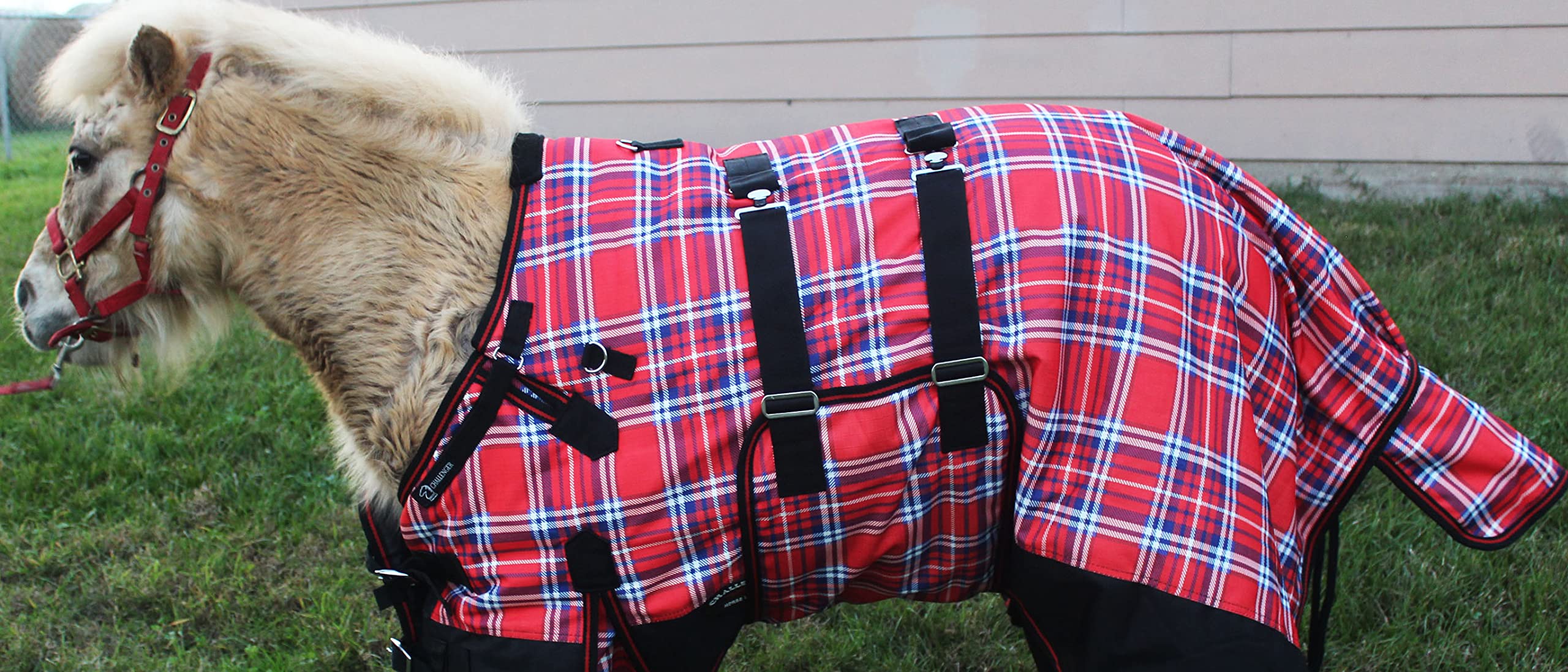 Challenger 44'' 1200D Miniature Weanling Donkey Pony Horse Foal Winter Blanket Red 51972B