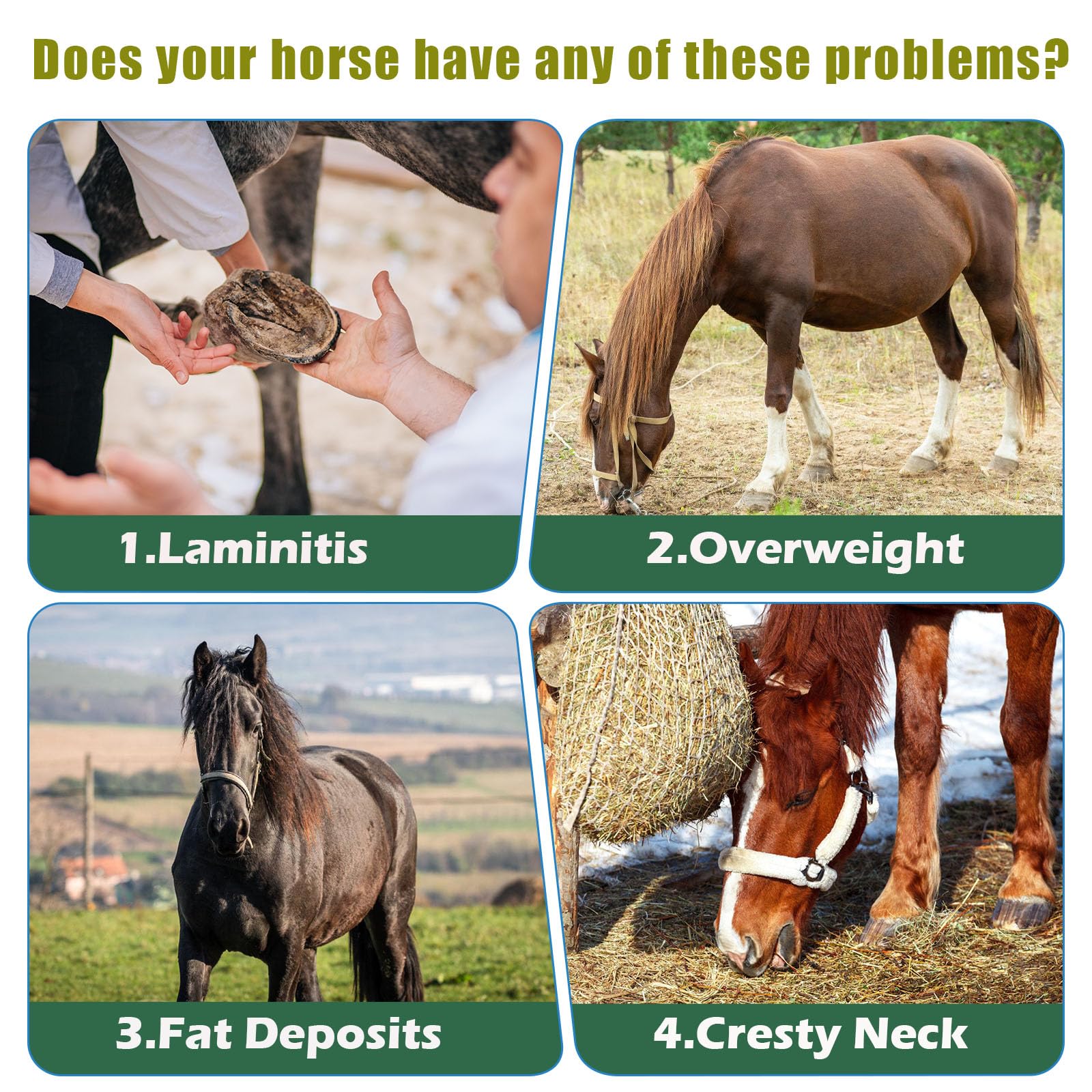 Insulin Resistance Supplement for Horses - Horse Laminitis Treatment-Natural Laminitis Herbal Powder for Sore Feet & Chronic Lam