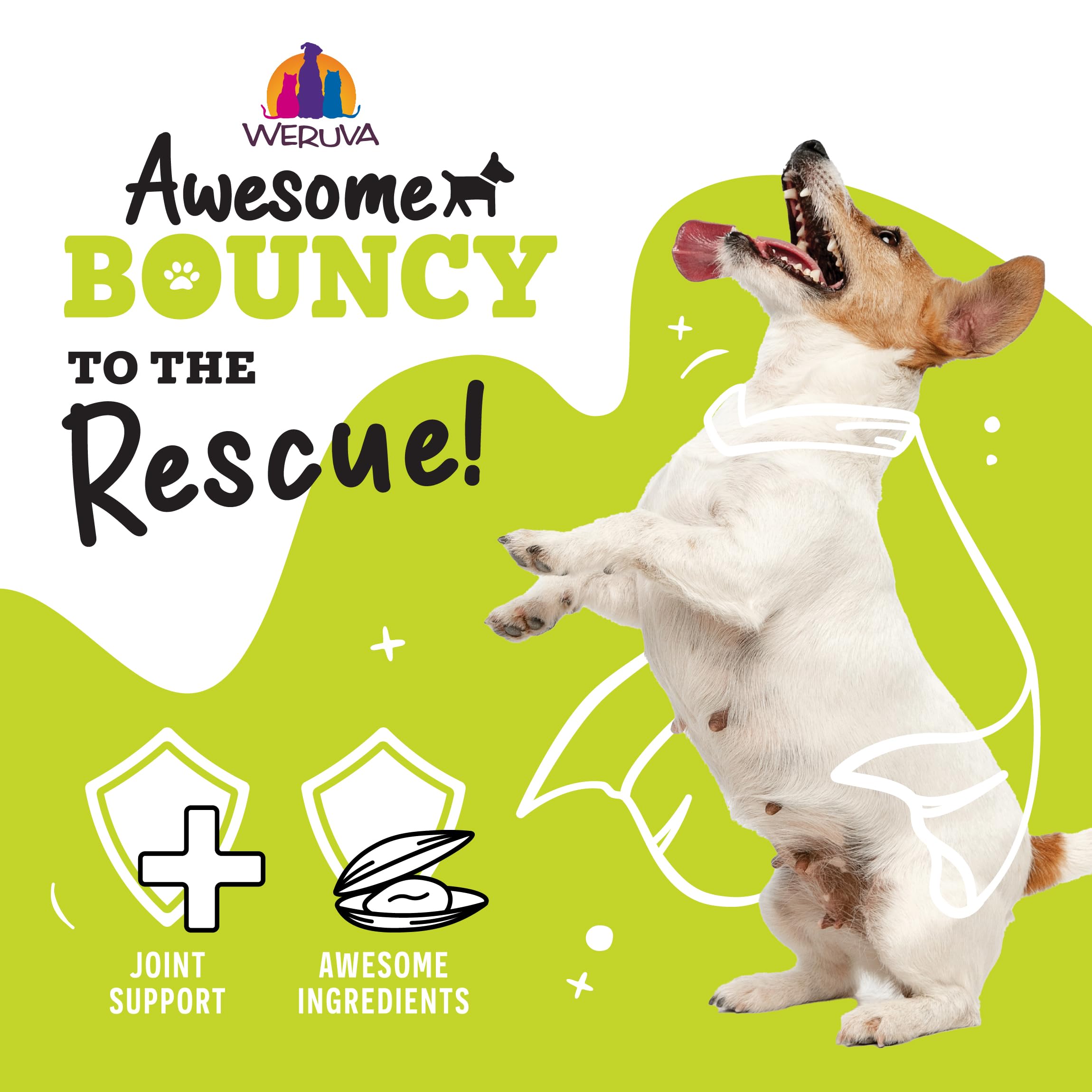 Weruva Awesome Bouncy Wet Dog Food, Chicken & Brown Rice, 6oz Can (Pack of 8)