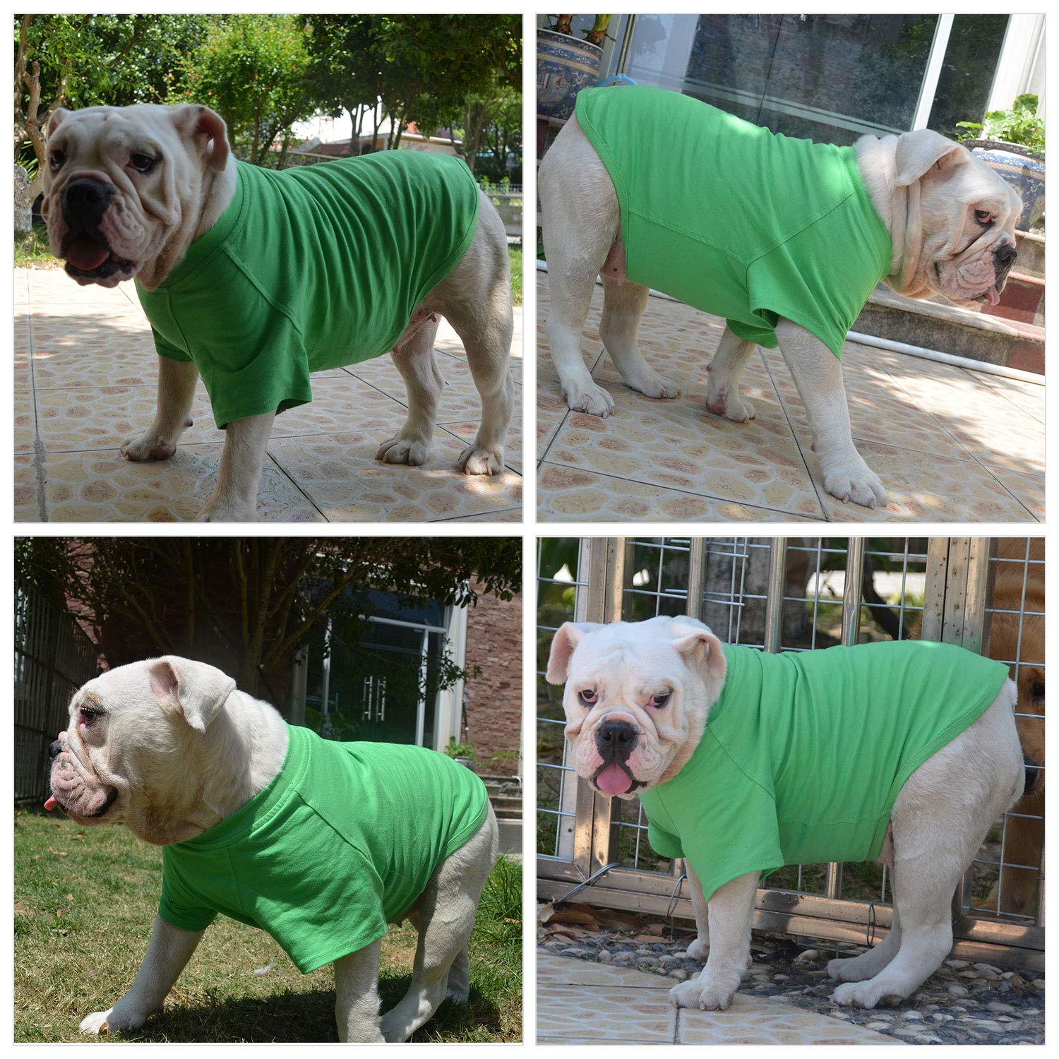 Lovelonglong Bulldog Clothes Dog Clothing Blank T-Shirt Tee Shirts For French Bulldog English Bulldog American Pit Bull Pugs 100% Cotton Skin Care Green B-L