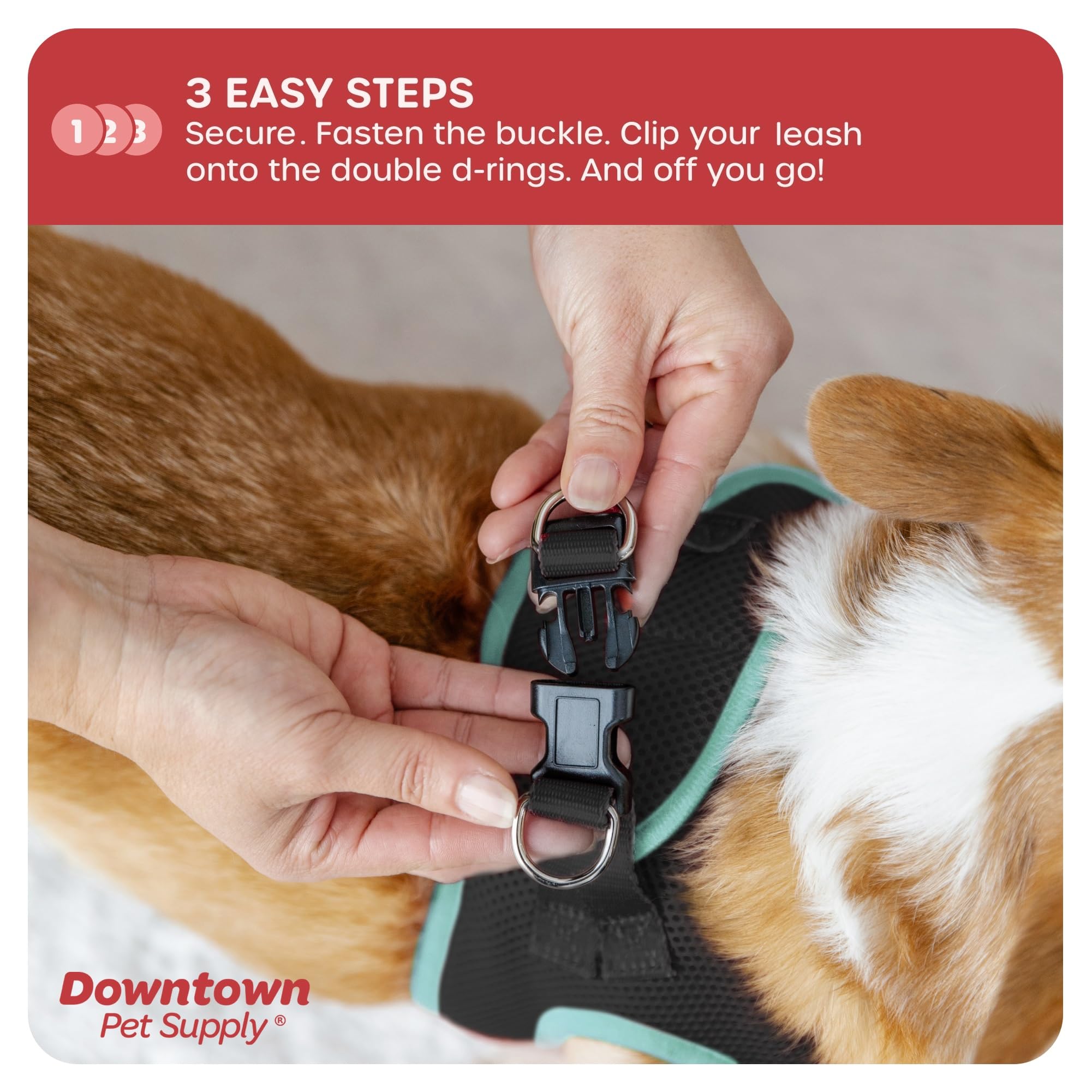 Downtown Pet Supply Step In Dog Harness No Pull, X-Large, Black W/Light Blue Trim - Adjustable Harness With Padded Mesh Fabric A