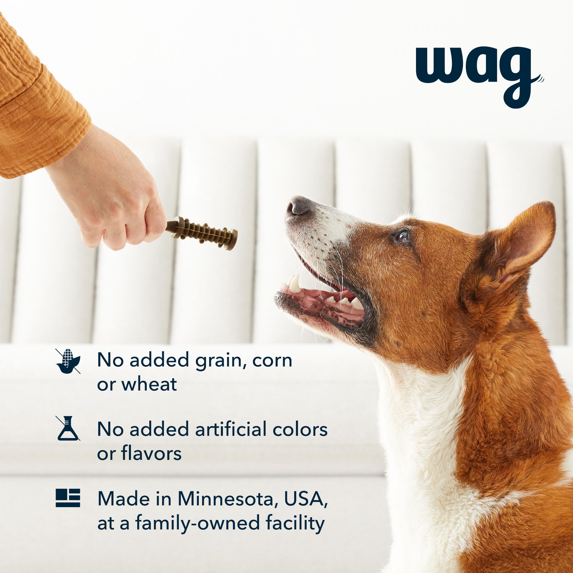 Amazon Brand - Wag Dental Chews - Green Dental Brush for Dogs, Large, Unflavored, 24 Count (Pack of 1)