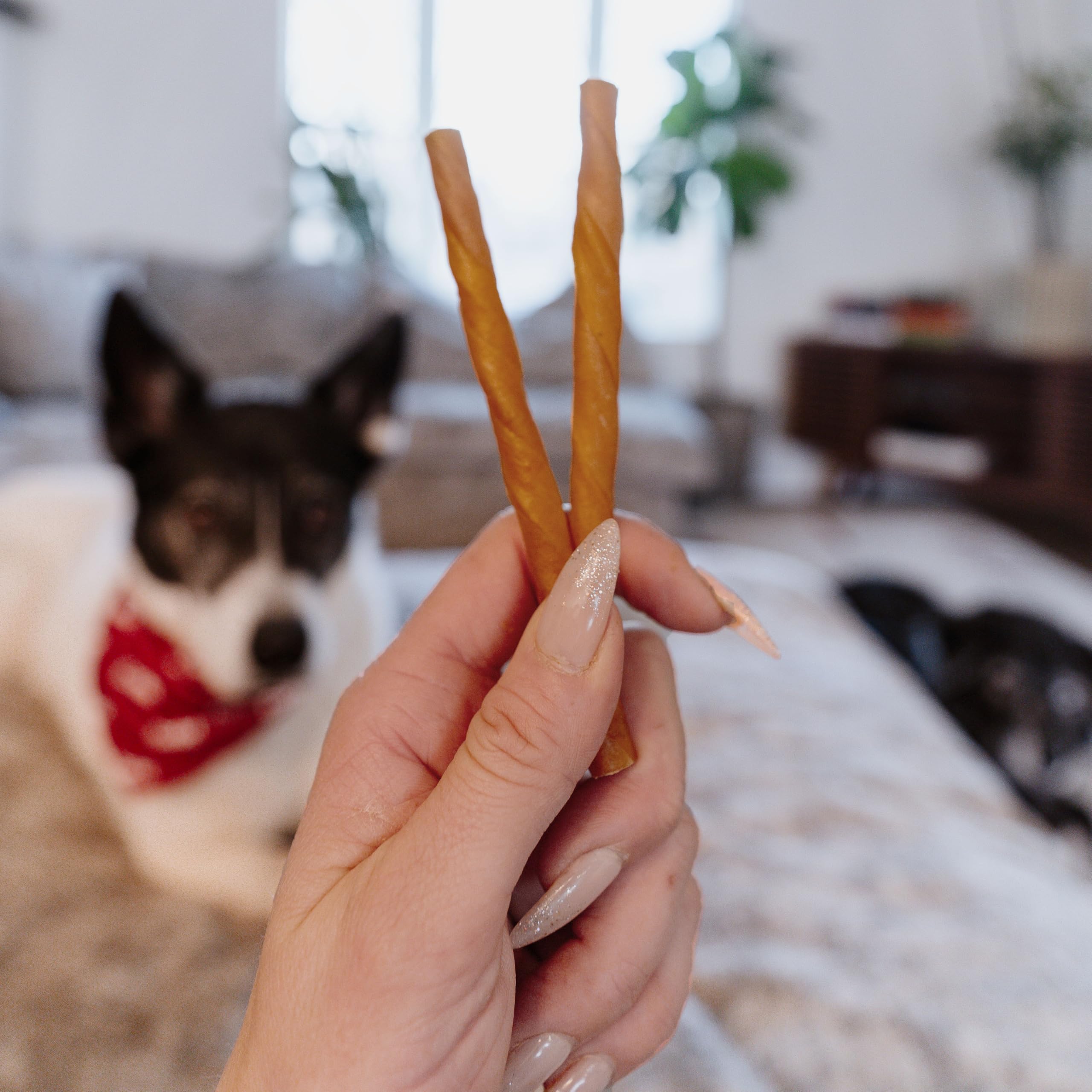 Cadet Chewalicious Classic Chewy Twists with Real Peanut Butter, Rawhide-Free Healthy Dog Chews, Limited-Ingredient & Long-Lasti