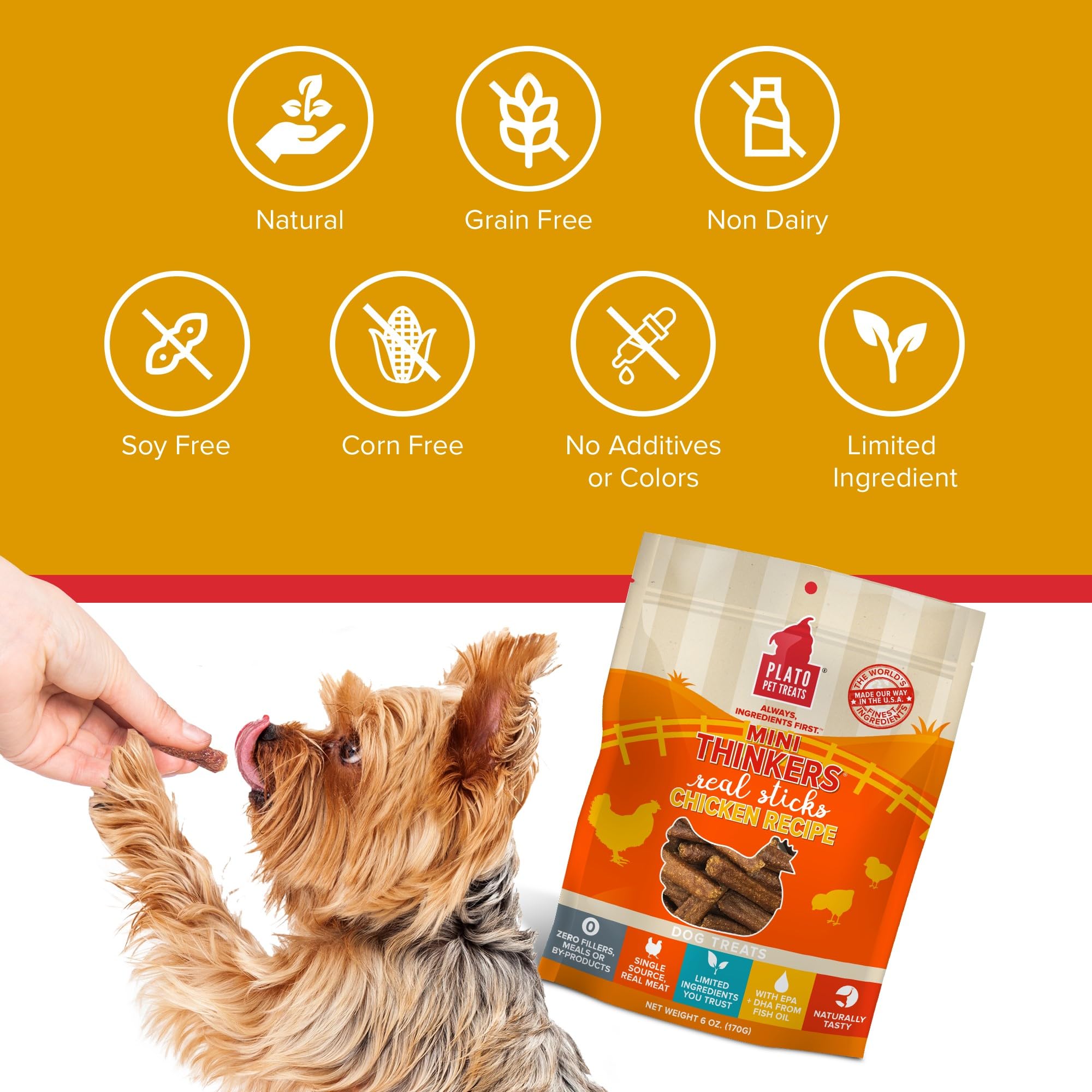 Plato Dog Mini Thinkers Chicken 6Oz