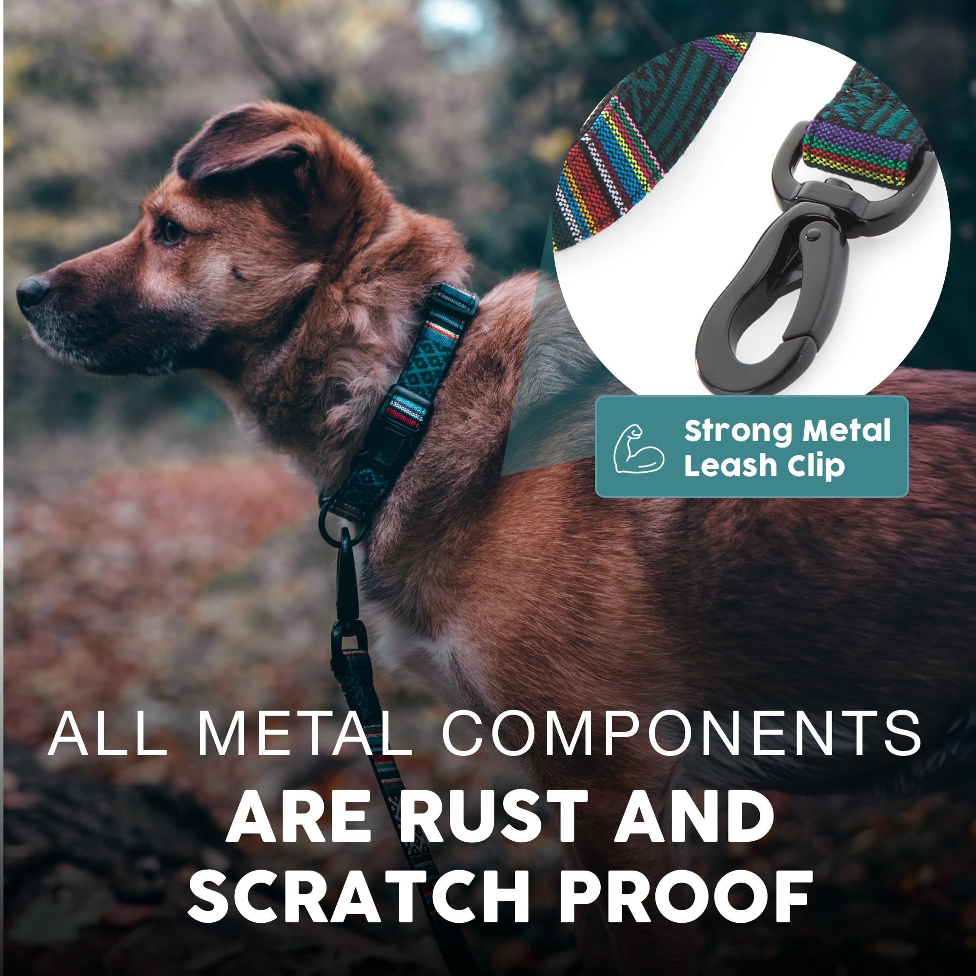 Embark Urban Dog Leashes - Colorful, Strong And Sturdy Nylon Dog Leashes For Small Dogs, Dog Leashes Medium Dogs And Dog Leashes Large Breed Dogs, Heavy Duty Dog Leash (Mayan, 4 Ft Dog Leash)