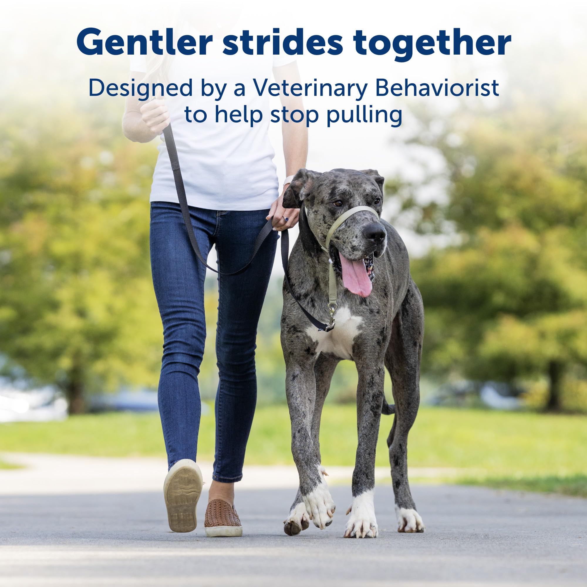 Petsafe Gentle Leader No-Pull Dog Headcollar - The Ultimate Solution To Pulling - Redirects Your Dog'S Pulling For Easier Walks - Helps You Regain Control - Medium, Silver