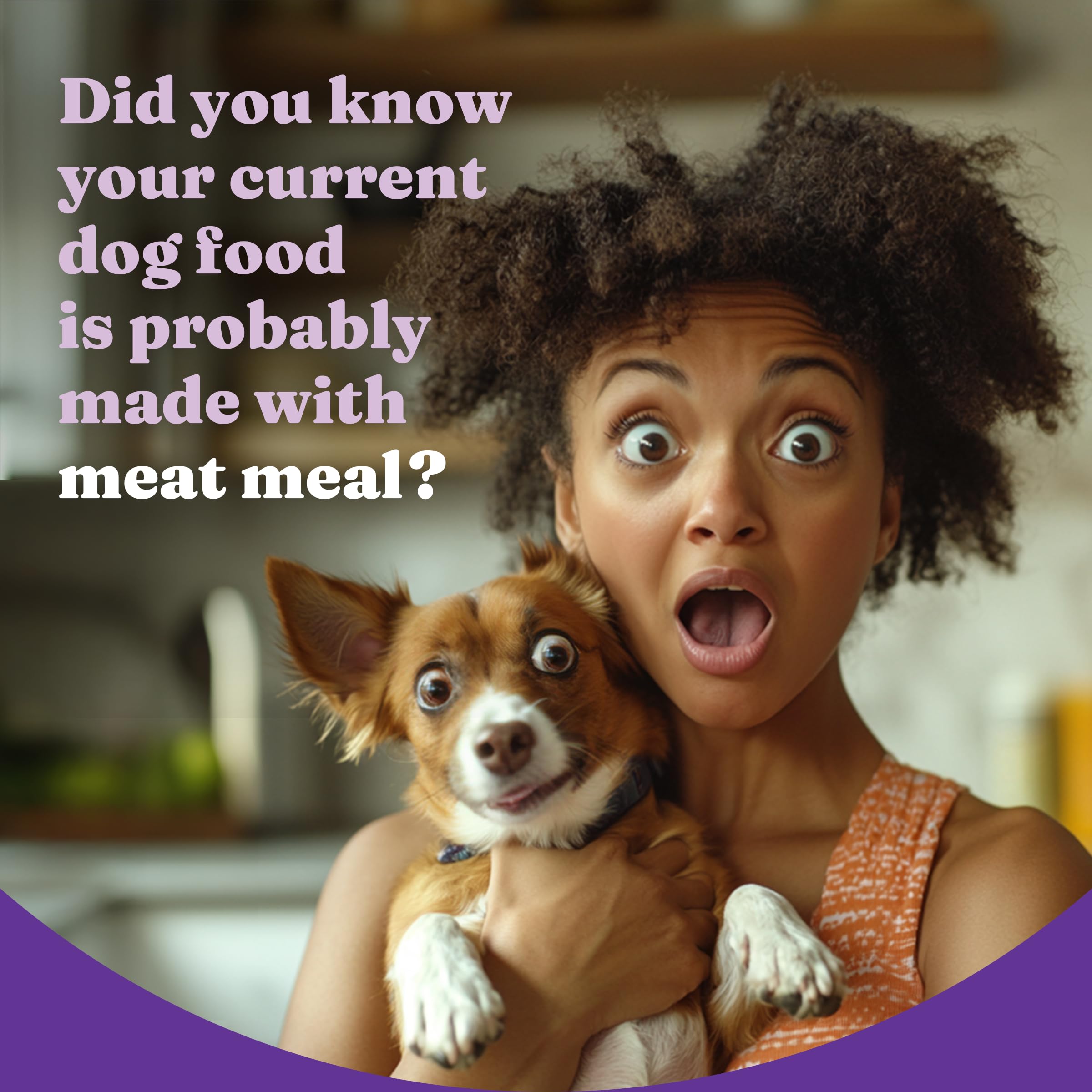 Halo Holistic Small Breed Dog Food, Cage Free Chicken & Brown Rice Recipe, Healthy Grains Dry Dog Food, Complete Digestive Healt