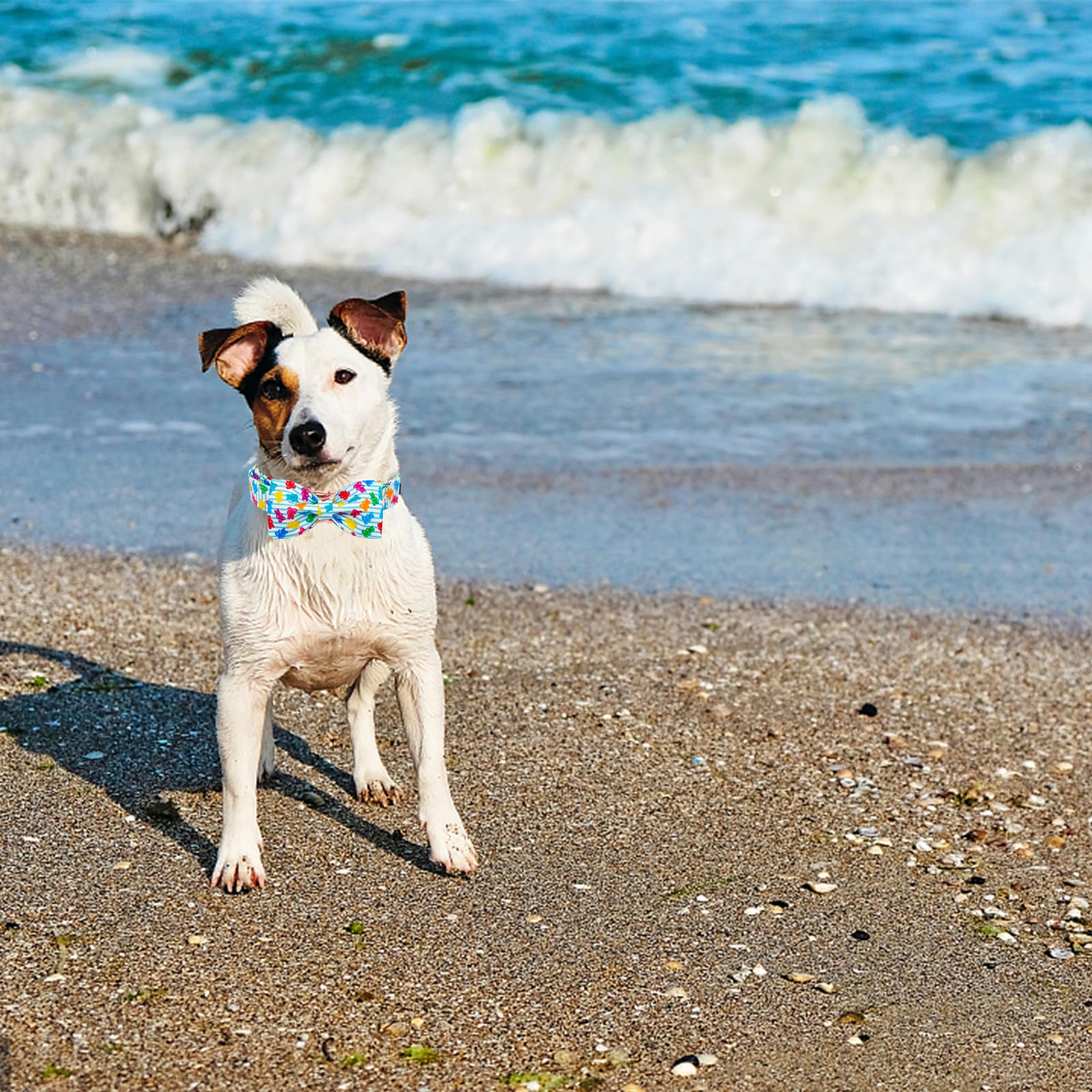 Elegant little tail Dog Collar, Summer Dog Collar with Bow tie, Blue Bear Print Dog Collars Pet Collar Boy Girl Cute Bowtie Coll