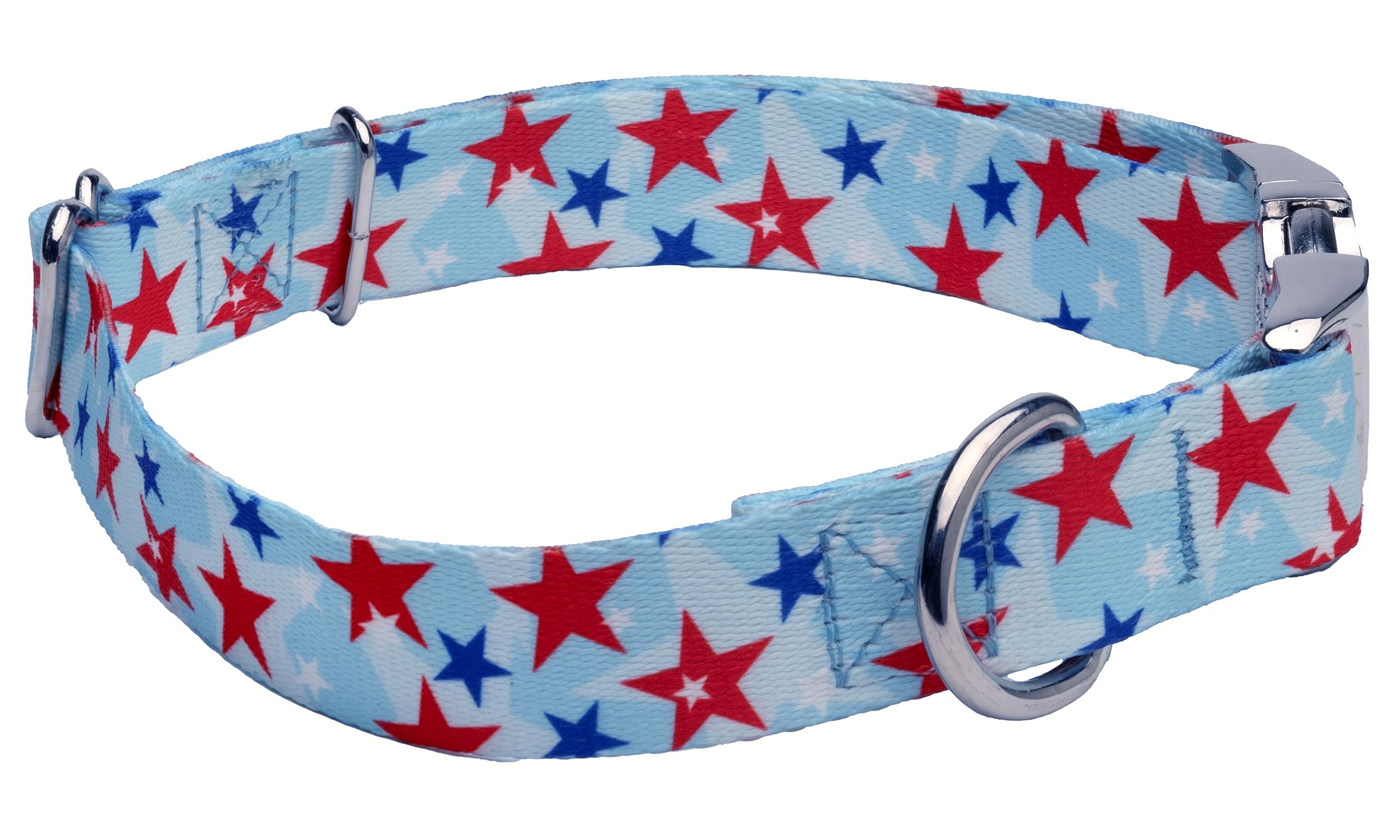 Country Brook Petz - Premium American Celebration Dog Collar - Americana Collection Featuring Patriotic Designs (1 Inch, Large)