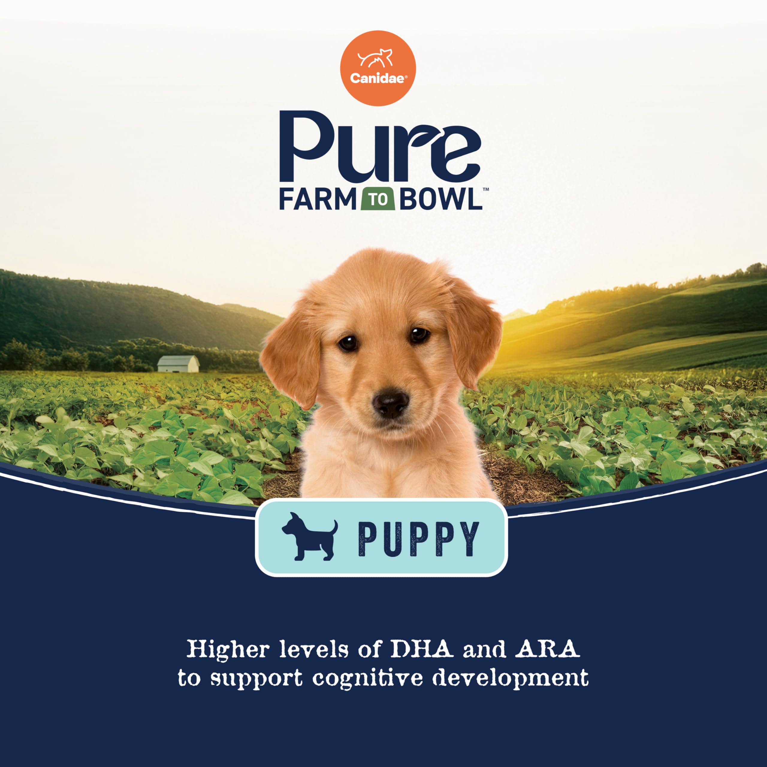 CANIDAE Pure Dry Puppy Food with Wholesome Grains, Real Salmon & Oatmeal, 4 lbs.